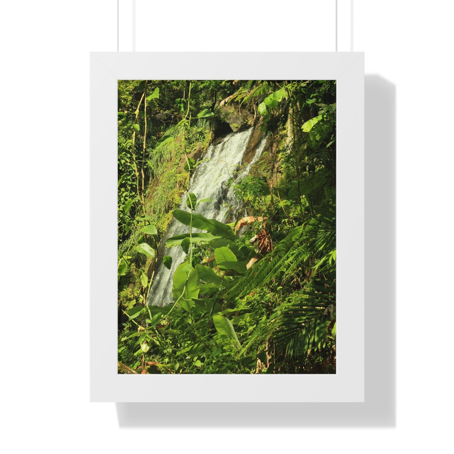 Rainforest Trails & Views - Gallery Canvas Wraps, Framed Vertical Poster - El Yunque National Forest - Puerto Rico - La Coca waterfall sideways - PR 191 - Green Forest Home