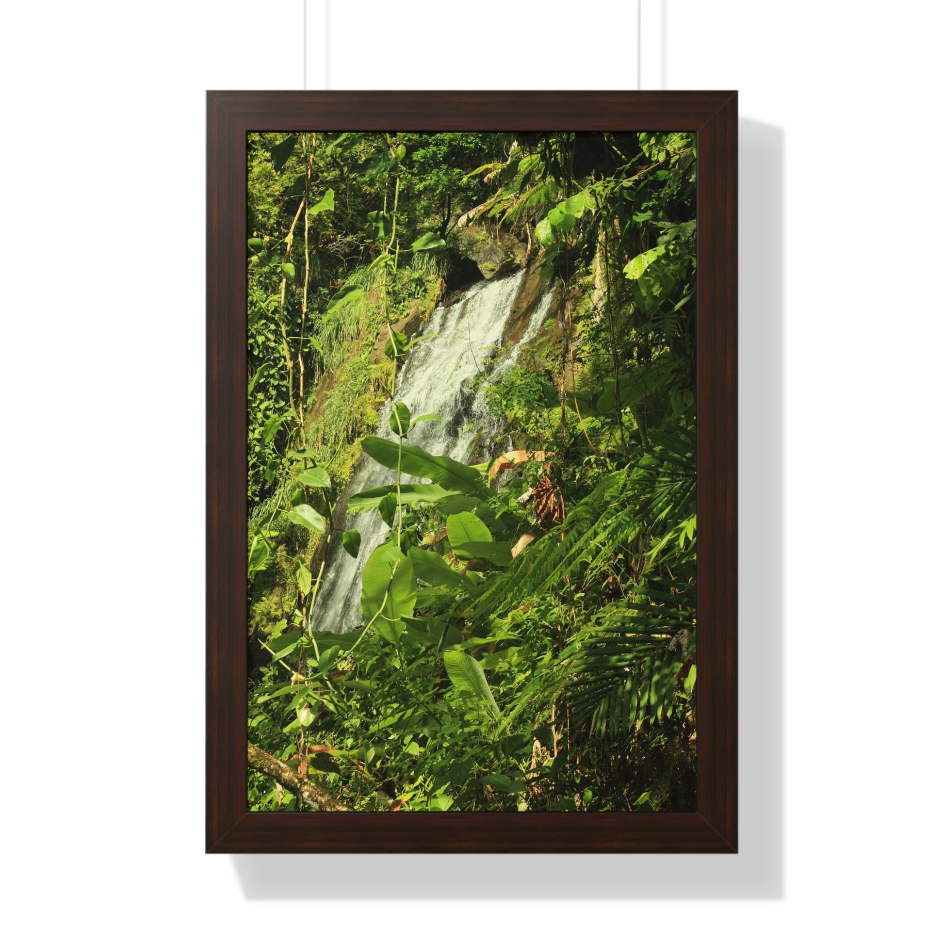 Rainforest Trails & Views - Gallery Canvas Wraps, Framed Vertical Poster - El Yunque National Forest - Puerto Rico - La Coca waterfall sideways - PR 191 - Green Forest Home