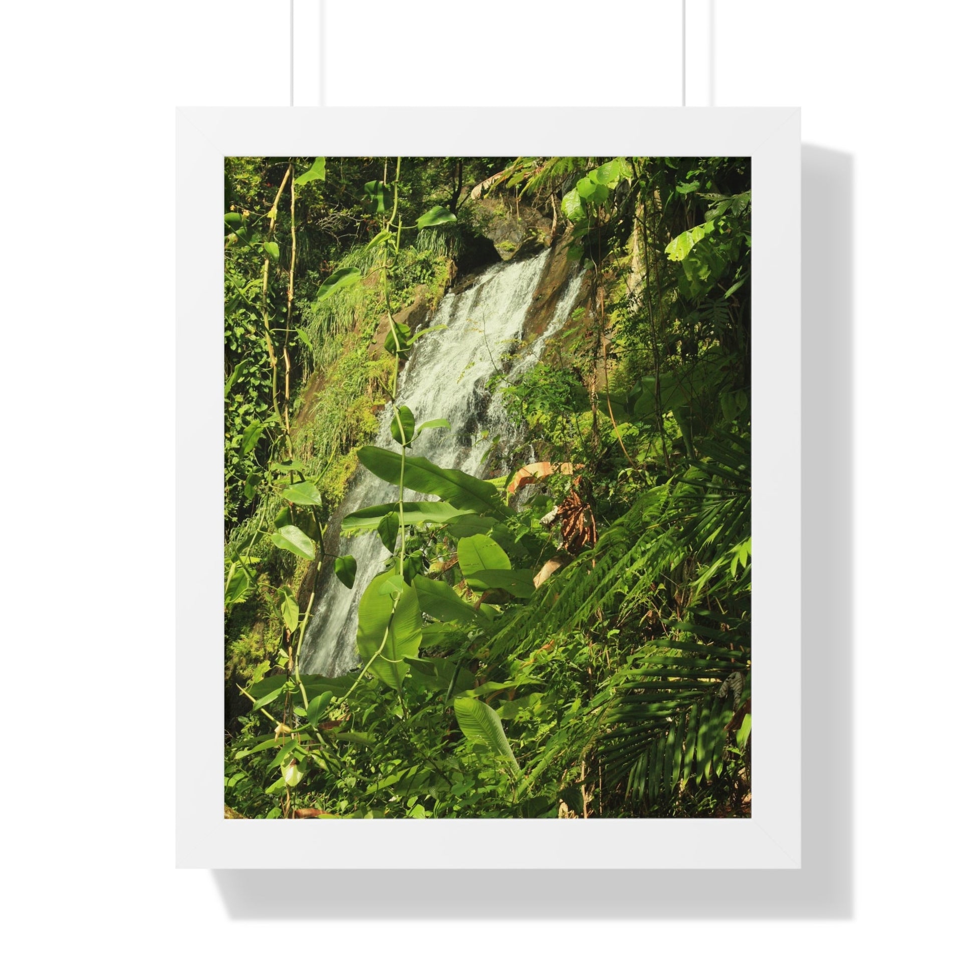 Rainforest Trails & Views - Gallery Canvas Wraps, Framed Vertical Poster - El Yunque National Forest - Puerto Rico - La Coca waterfall sideways - PR 191 - Green Forest Home