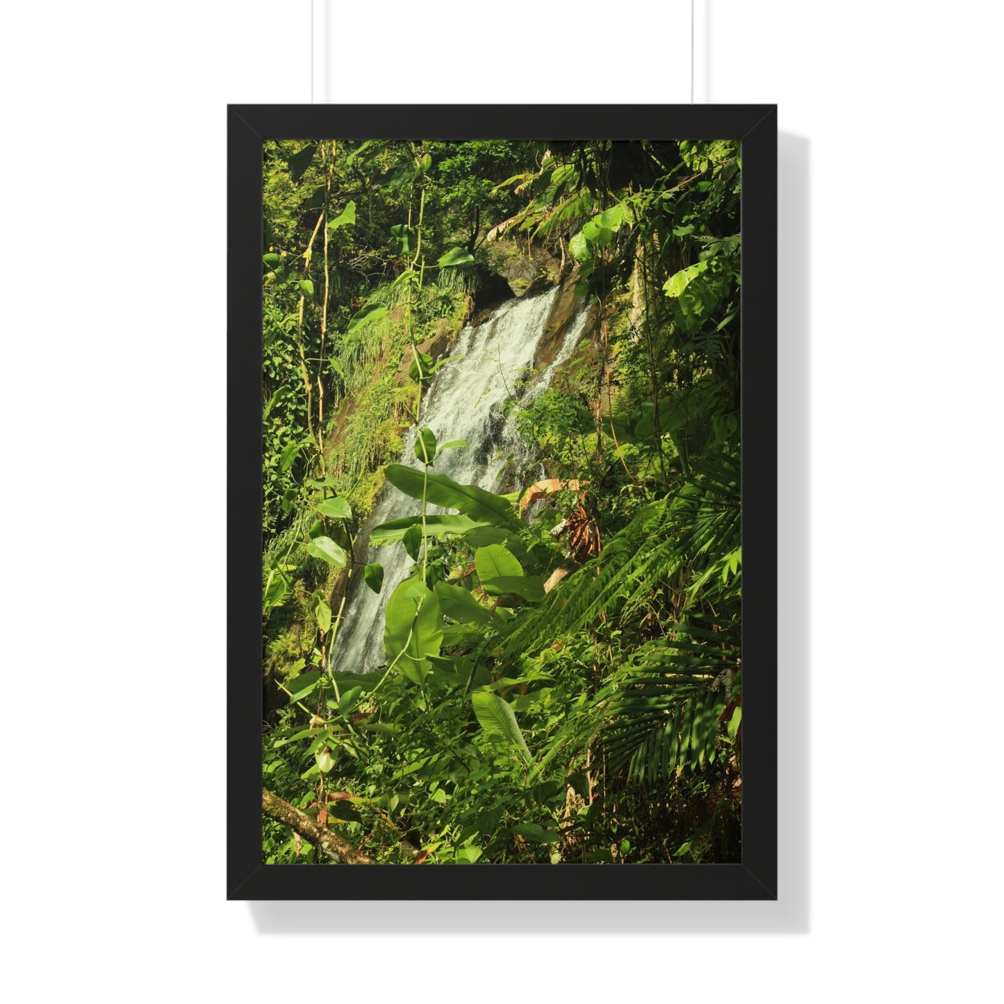 Rainforest Trails & Views - Gallery Canvas Wraps, Framed Vertical Poster - El Yunque National Forest - Puerto Rico - La Coca waterfall sideways - PR 191 - Green Forest Home