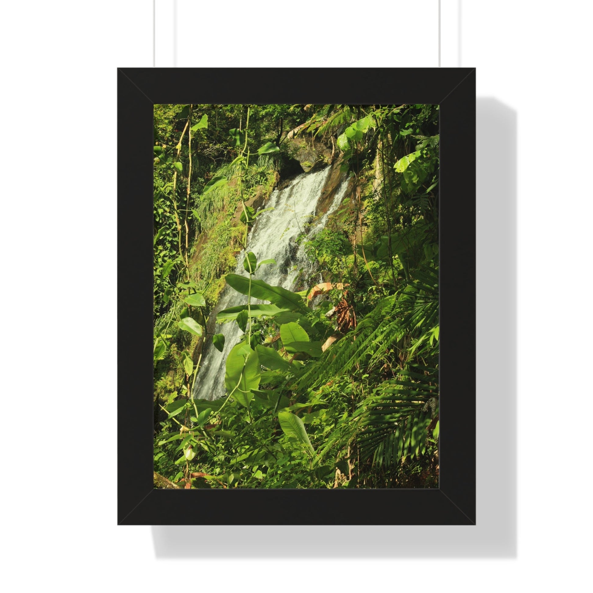 Rainforest Trails & Views - Gallery Canvas Wraps, Framed Vertical Poster - El Yunque National Forest - Puerto Rico - La Coca waterfall sideways - PR 191 - Green Forest Home