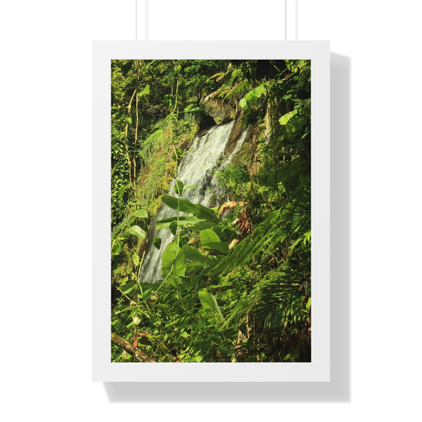 Rainforest Trails & Views - Gallery Canvas Wraps, Framed Vertical Poster - El Yunque National Forest - Puerto Rico - La Coca waterfall sideways - PR 191 - Green Forest Home