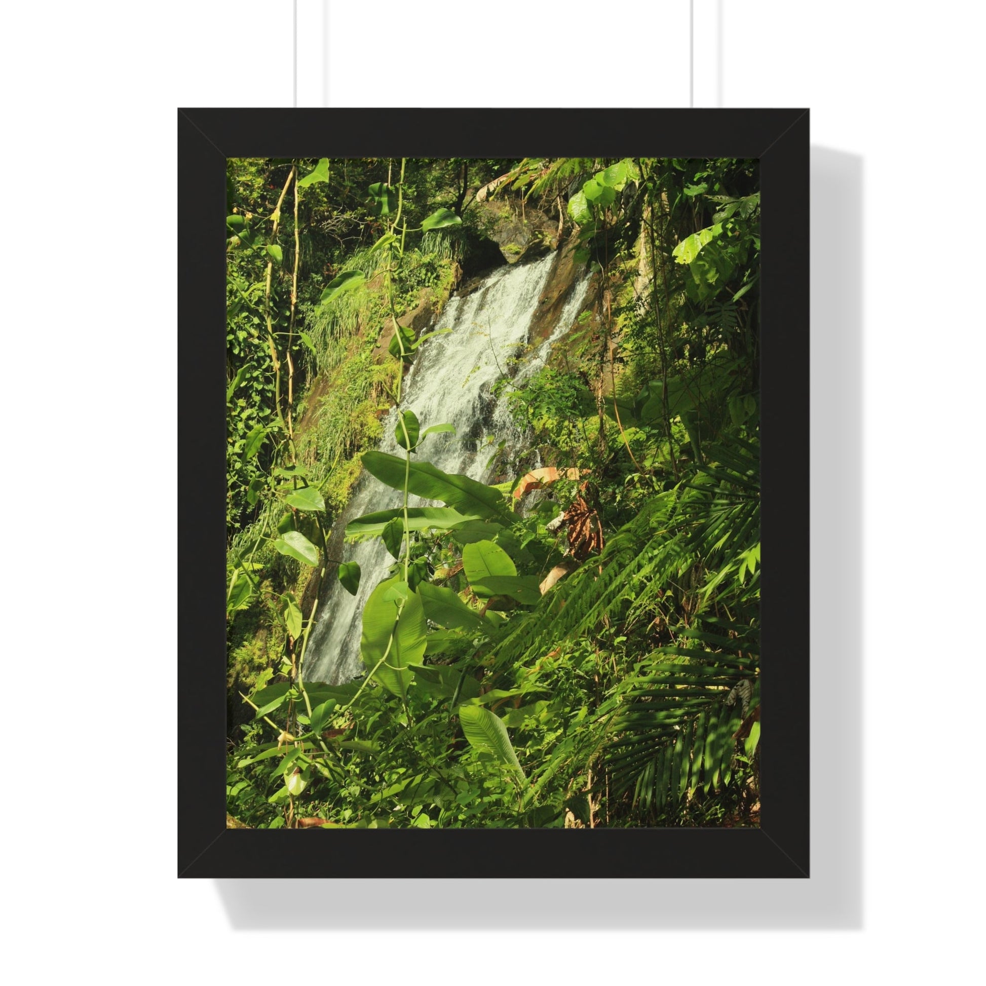 Rainforest Trails & Views - Gallery Canvas Wraps, Framed Vertical Poster - El Yunque National Forest - Puerto Rico - La Coca waterfall sideways - PR 191 - Green Forest Home