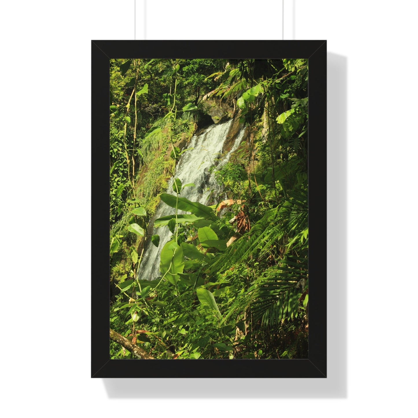 Rainforest Trails & Views - Gallery Canvas Wraps, Framed Vertical Poster - El Yunque National Forest - Puerto Rico - La Coca waterfall sideways - PR 191 - Green Forest Home