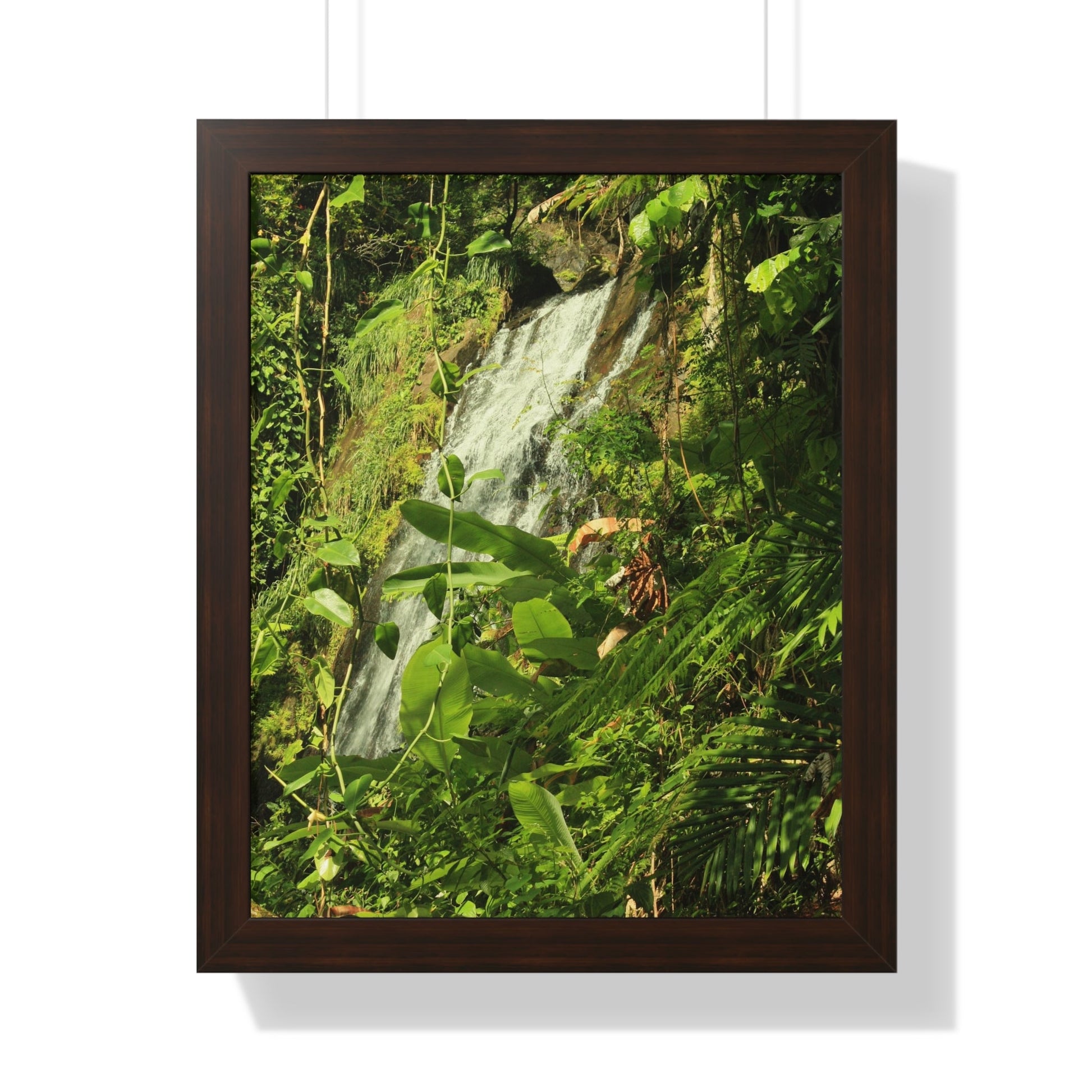 Rainforest Trails & Views - Gallery Canvas Wraps, Framed Vertical Poster - El Yunque National Forest - Puerto Rico - La Coca waterfall sideways - PR 191 - Green Forest Home