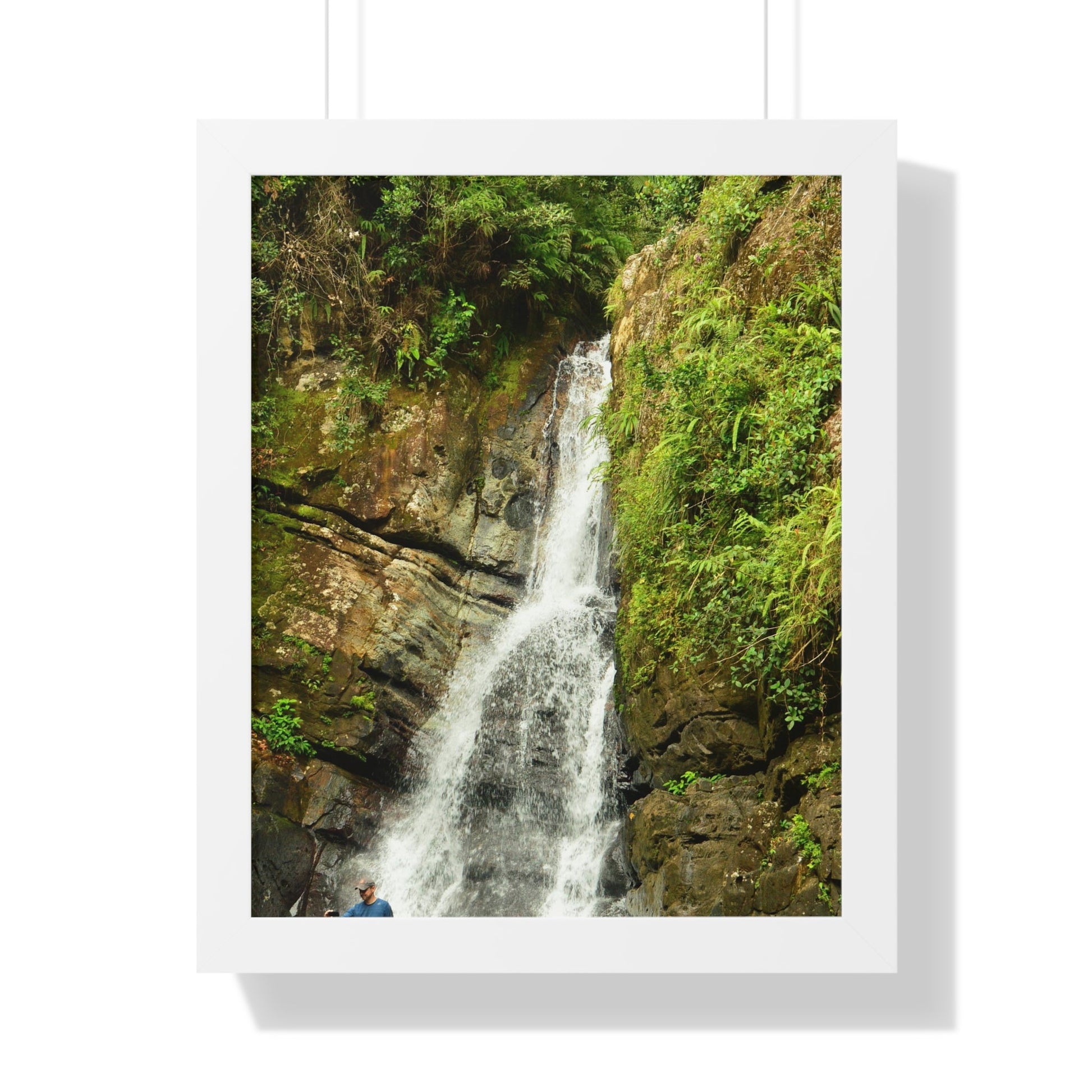 Rainforest Trails & Views - Gallery Canvas Wraps, Framed Vertical Poster - El Yunque National Forest - Puerto Rico - La Mina Trail & Roaring Waterfall - Green Forest Home