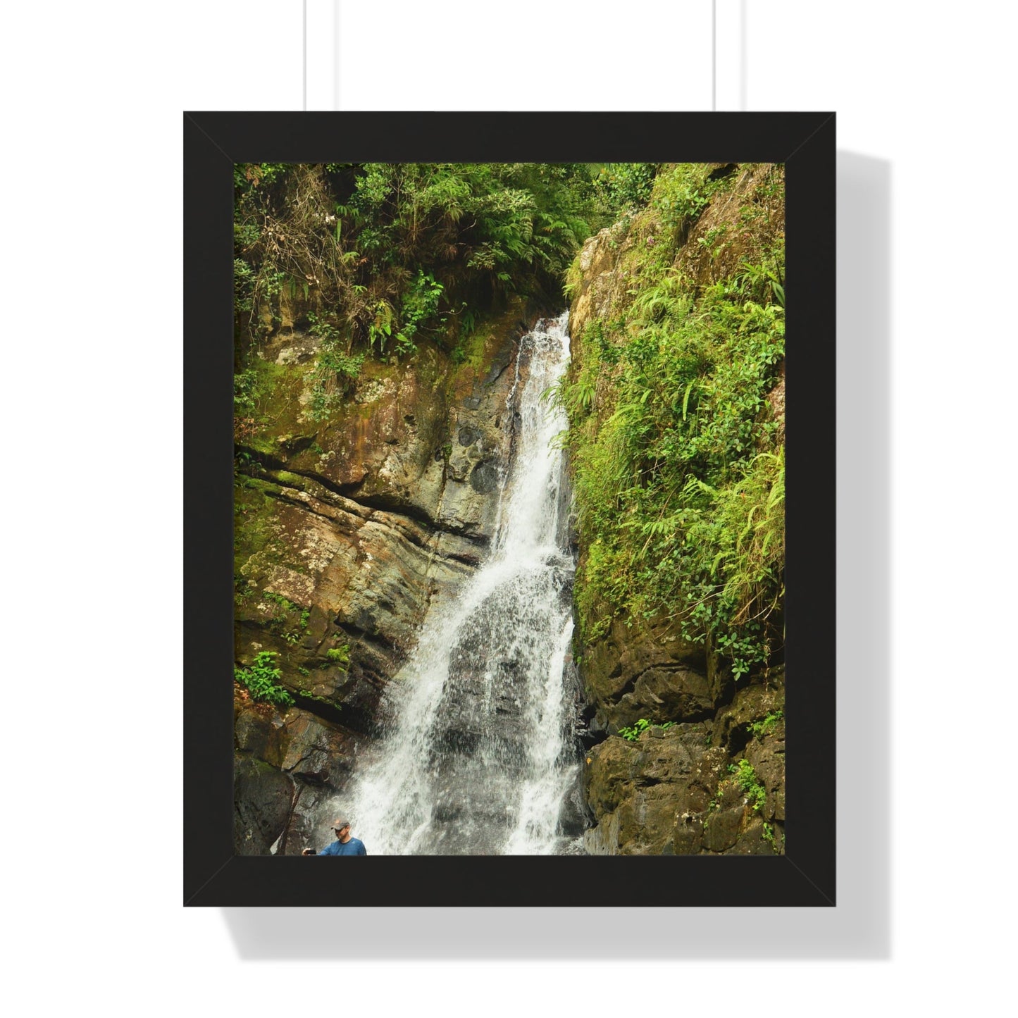 Rainforest Trails & Views - Gallery Canvas Wraps, Framed Vertical Poster - El Yunque National Forest - Puerto Rico - La Mina Trail & Roaring Waterfall - Green Forest Home