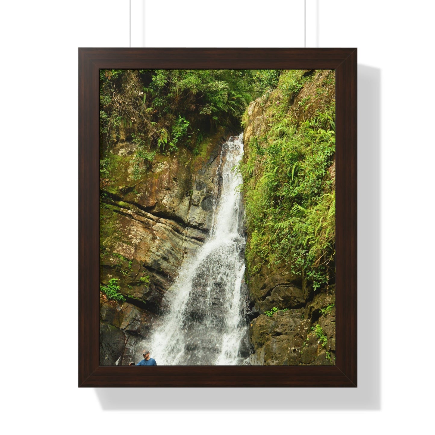 Rainforest Trails & Views - Gallery Canvas Wraps, Framed Vertical Poster - El Yunque National Forest - Puerto Rico - La Mina Trail & Roaring Waterfall - Green Forest Home