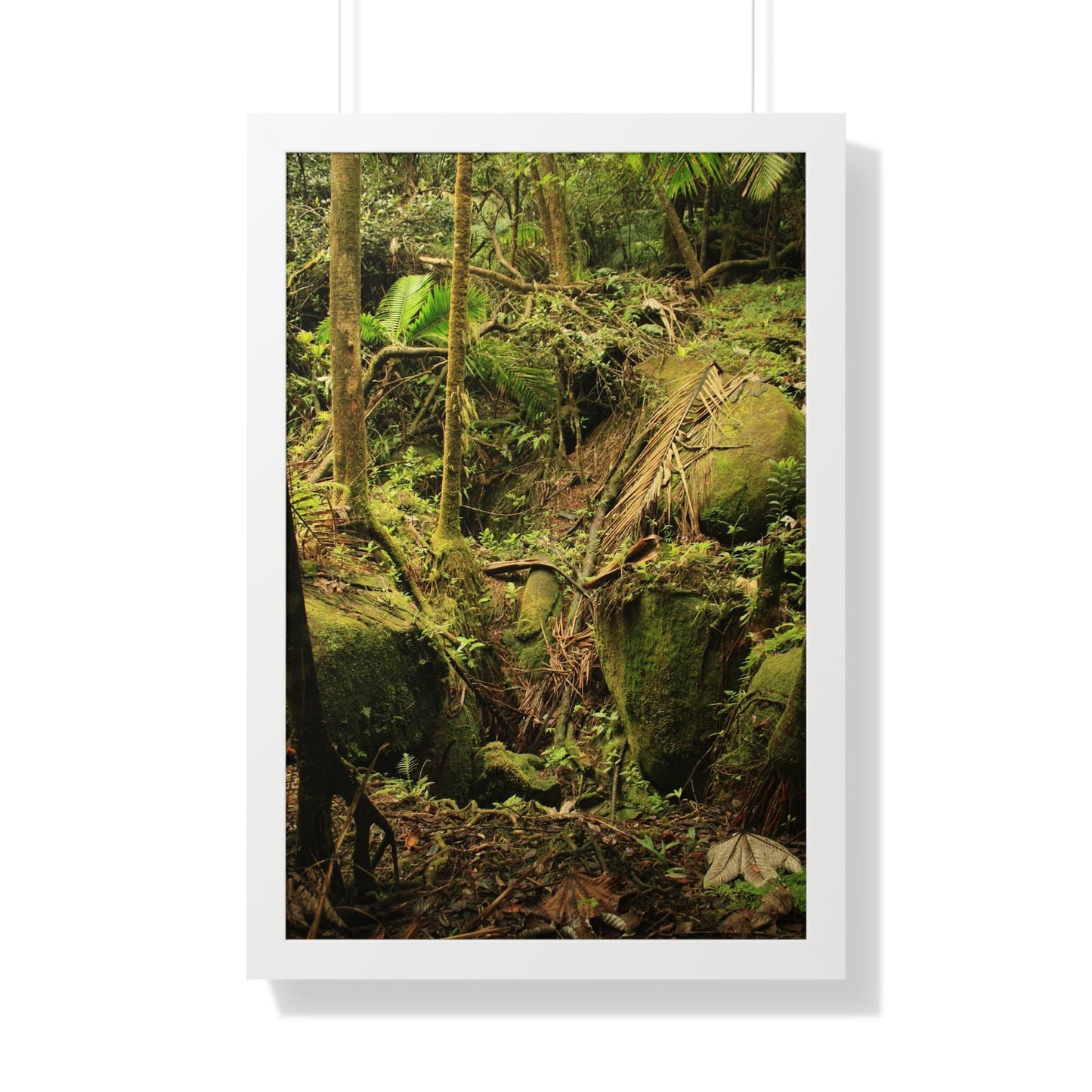 Rainforest Trails & Views - Gallery Canvas Wraps, Framed Vertical Poster - El Yunque National Forest - Puerto Rico - Near Tradewinds - Dangerous drainage holes - Green Forest Home