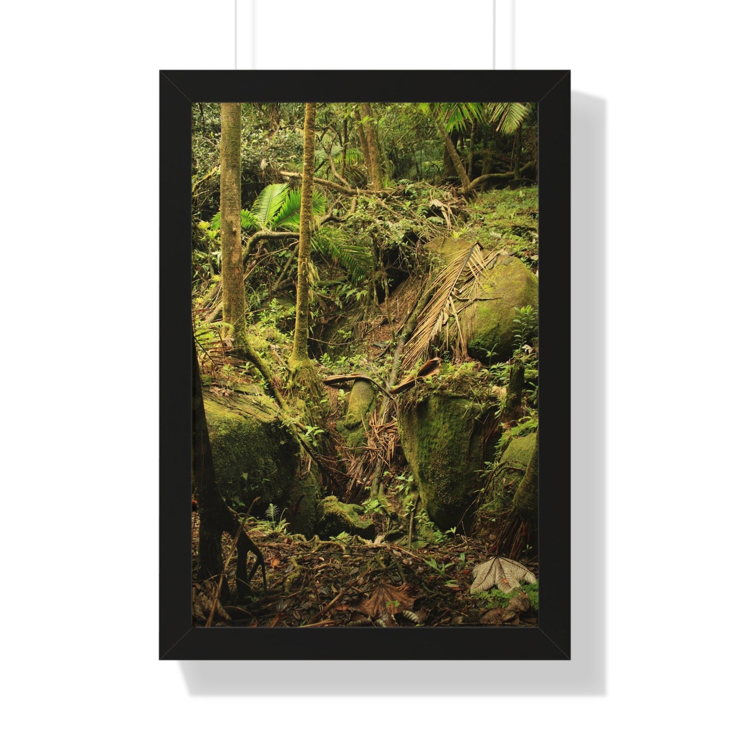 Rainforest Trails & Views - Gallery Canvas Wraps, Framed Vertical Poster - El Yunque National Forest - Puerto Rico - Near Tradewinds - Dangerous drainage holes - Green Forest Home