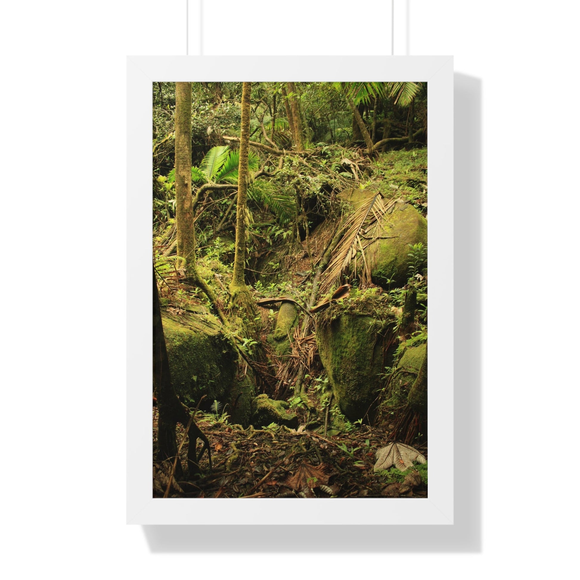 Rainforest Trails & Views - Gallery Canvas Wraps, Framed Vertical Poster - El Yunque National Forest - Puerto Rico - Near Tradewinds - Dangerous drainage holes - Green Forest Home