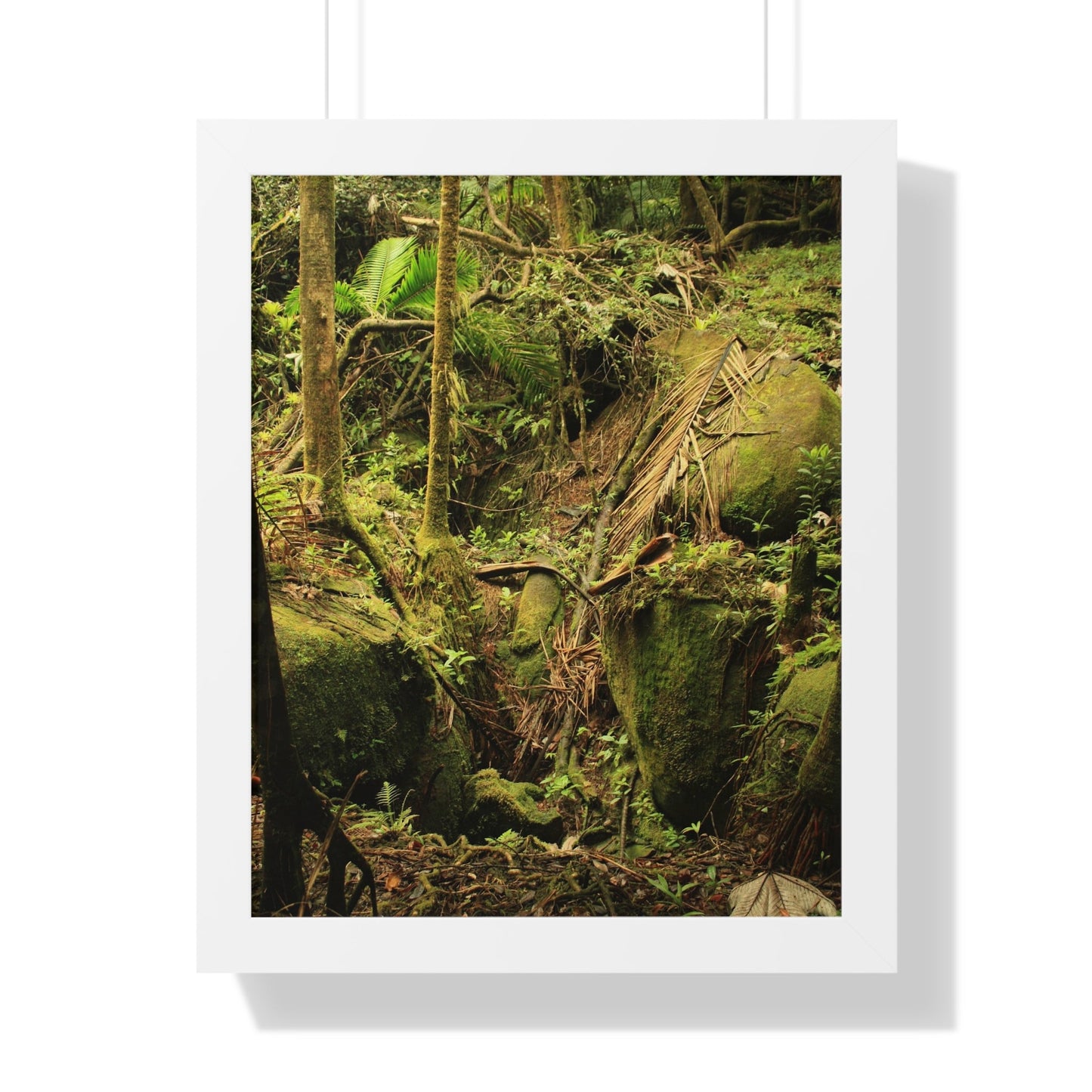 Rainforest Trails & Views - Gallery Canvas Wraps, Framed Vertical Poster - El Yunque National Forest - Puerto Rico - Near Tradewinds - Dangerous drainage holes - Green Forest Home