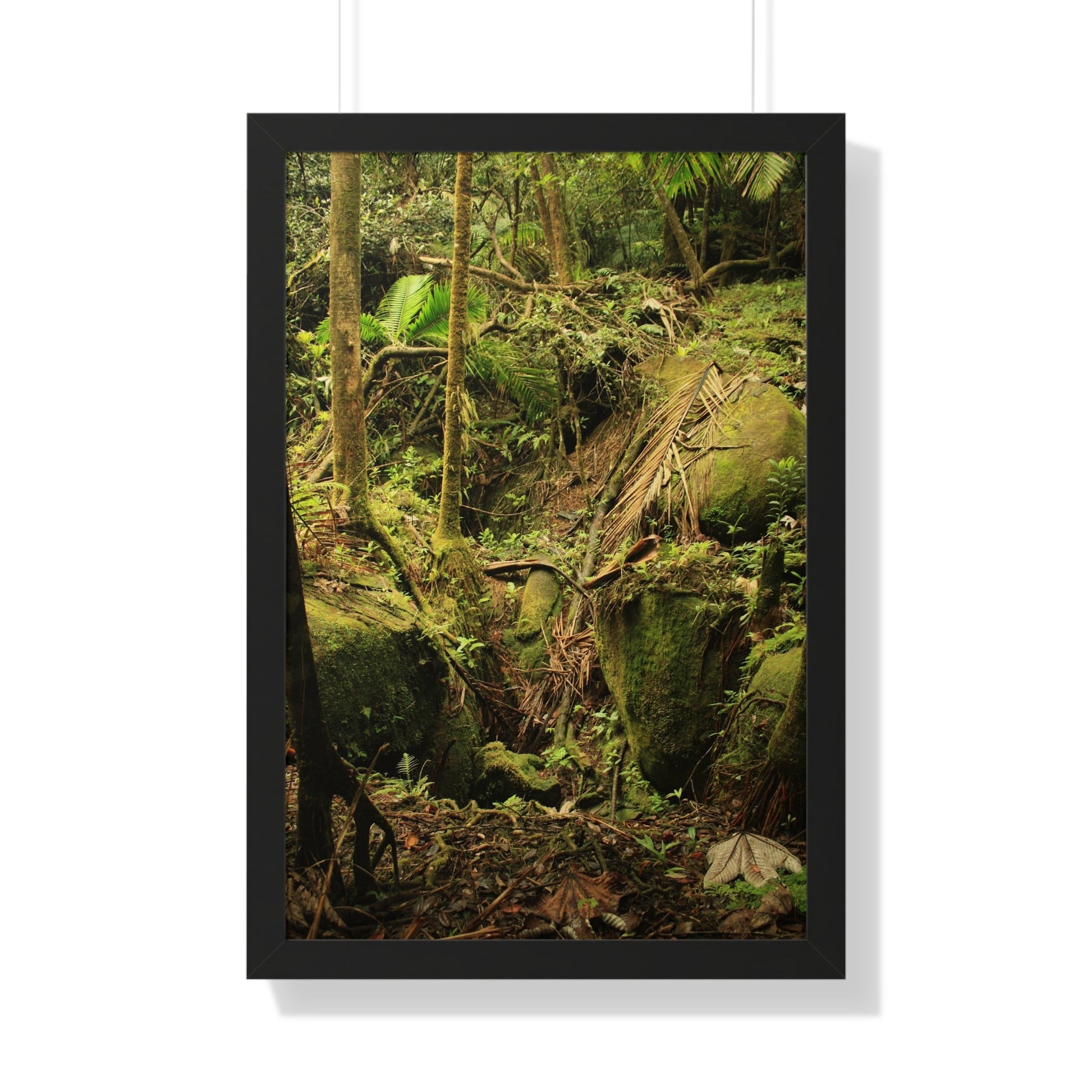 Rainforest Trails & Views - Gallery Canvas Wraps, Framed Vertical Poster - El Yunque National Forest - Puerto Rico - Near Tradewinds - Dangerous drainage holes - Green Forest Home