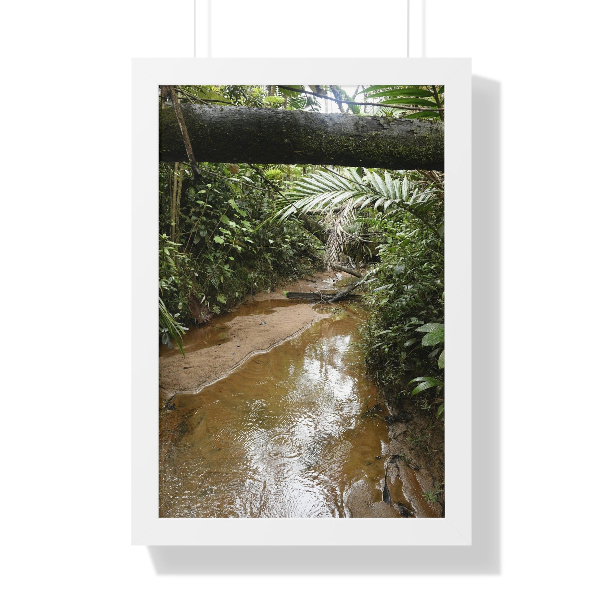 Rainforest Trails & Views - Gallery Canvas Wraps, Framed Vertical Poster - El Yunque National Forest - Puerto Rico -- Rio Sabana Trail & River - Green Forest Home