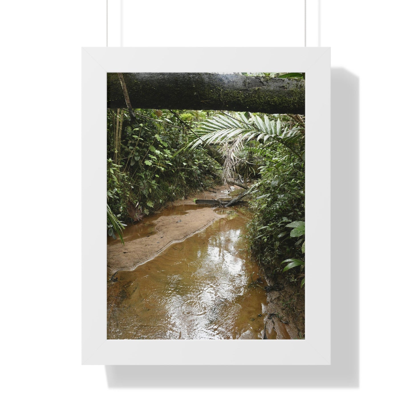 Rainforest Trails & Views - Gallery Canvas Wraps, Framed Vertical Poster - El Yunque National Forest - Puerto Rico -- Rio Sabana Trail & River - Green Forest Home