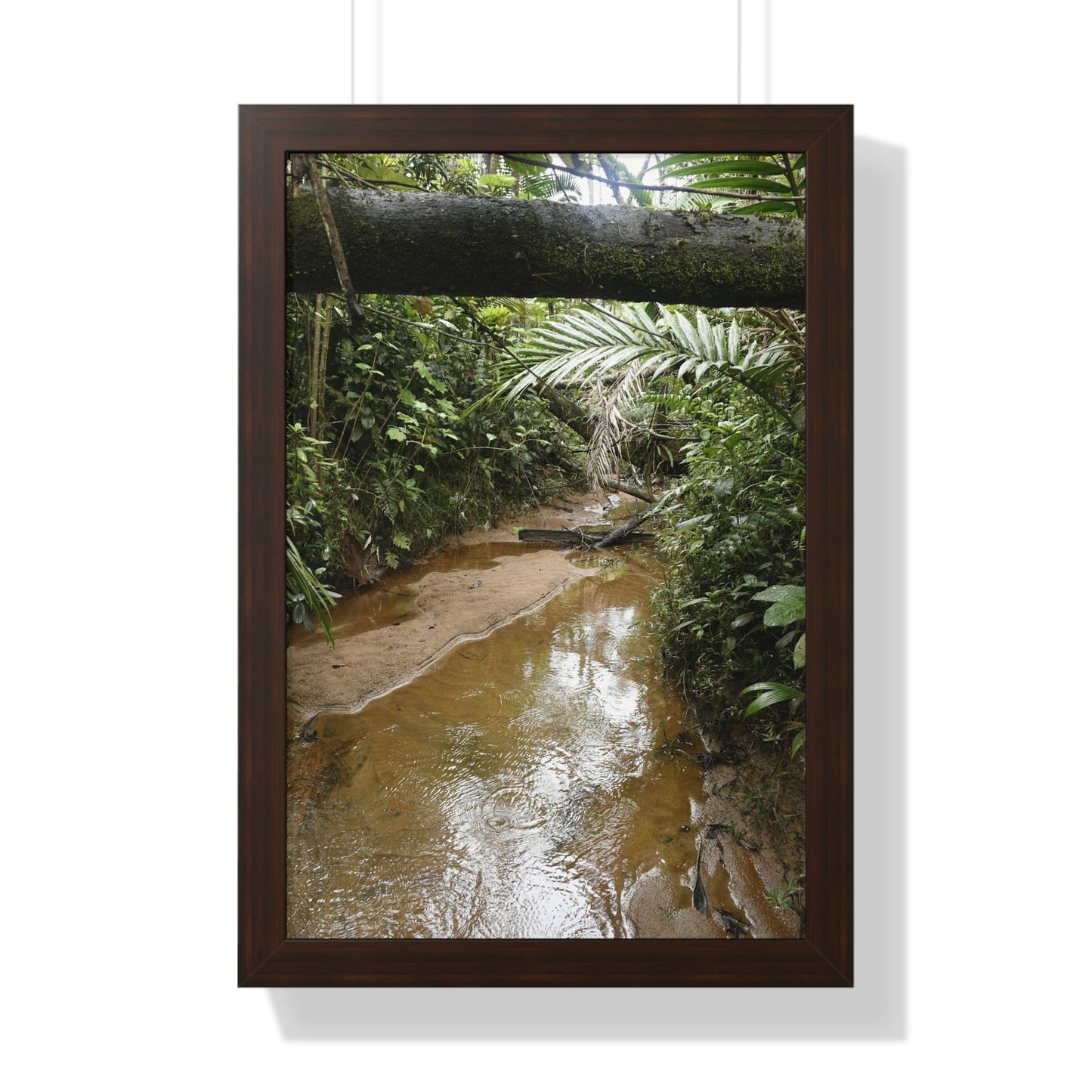 Rainforest Trails & Views - Gallery Canvas Wraps, Framed Vertical Poster - El Yunque National Forest - Puerto Rico -- Rio Sabana Trail & River - Green Forest Home