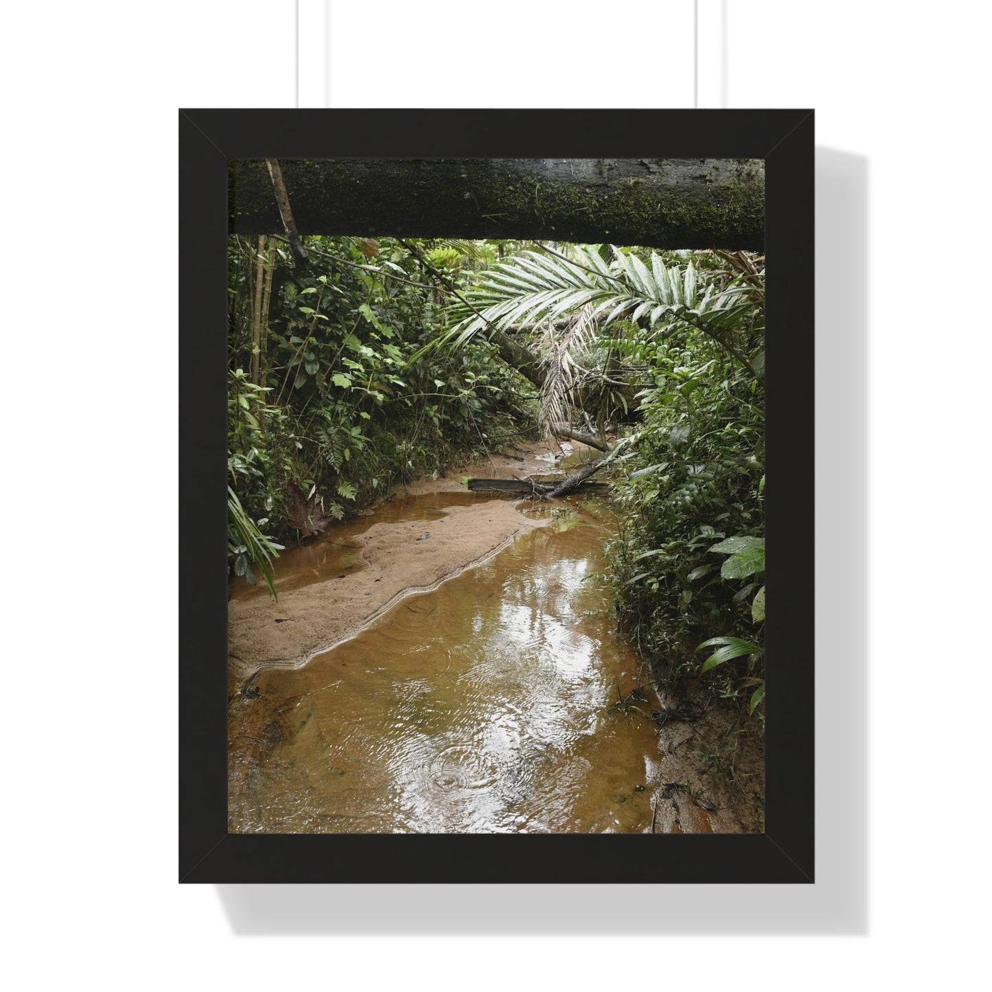 Rainforest Trails & Views - Gallery Canvas Wraps, Framed Vertical Poster - El Yunque National Forest - Puerto Rico -- Rio Sabana Trail & River - Green Forest Home