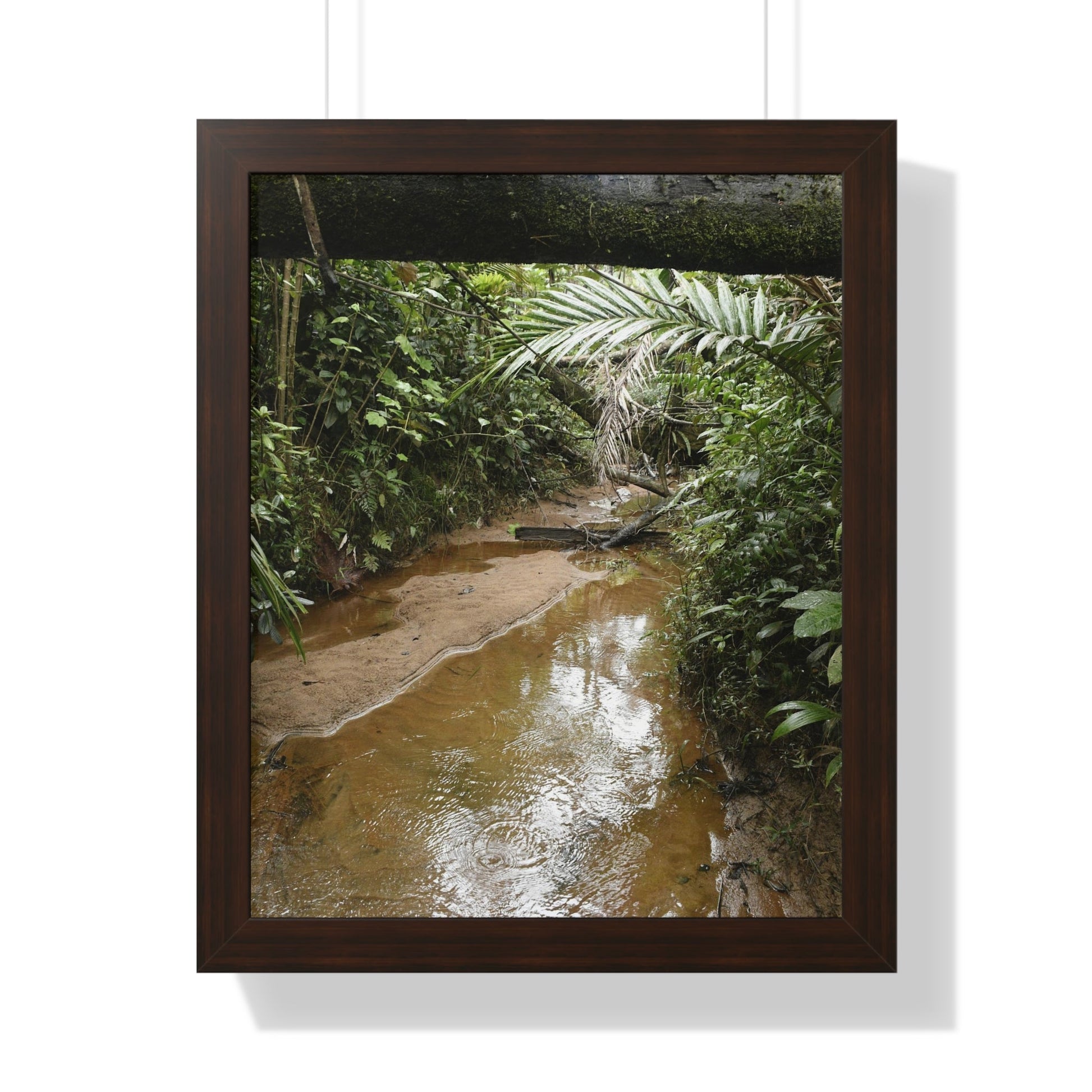 Rainforest Trails & Views - Gallery Canvas Wraps, Framed Vertical Poster - El Yunque National Forest - Puerto Rico -- Rio Sabana Trail & River - Green Forest Home