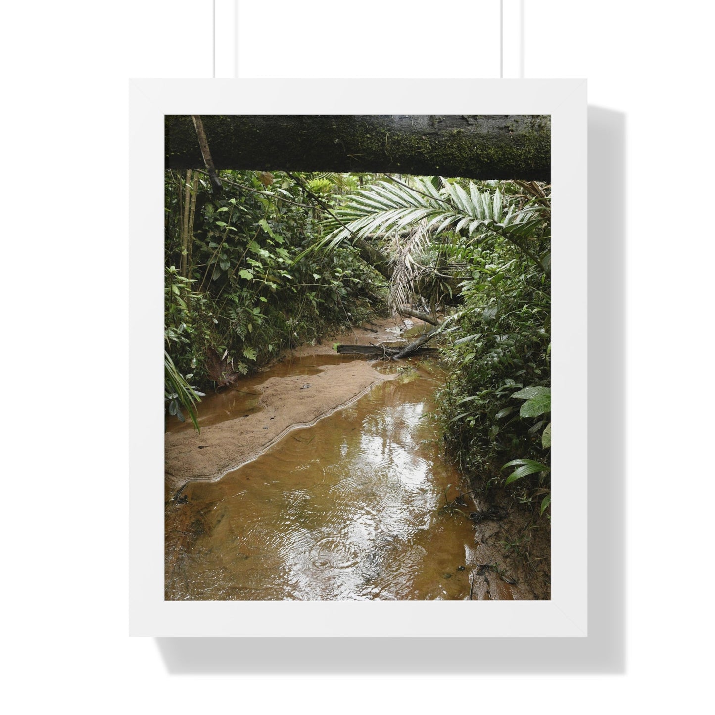 Rainforest Trails & Views - Gallery Canvas Wraps, Framed Vertical Poster - El Yunque National Forest - Puerto Rico -- Rio Sabana Trail & River - Green Forest Home