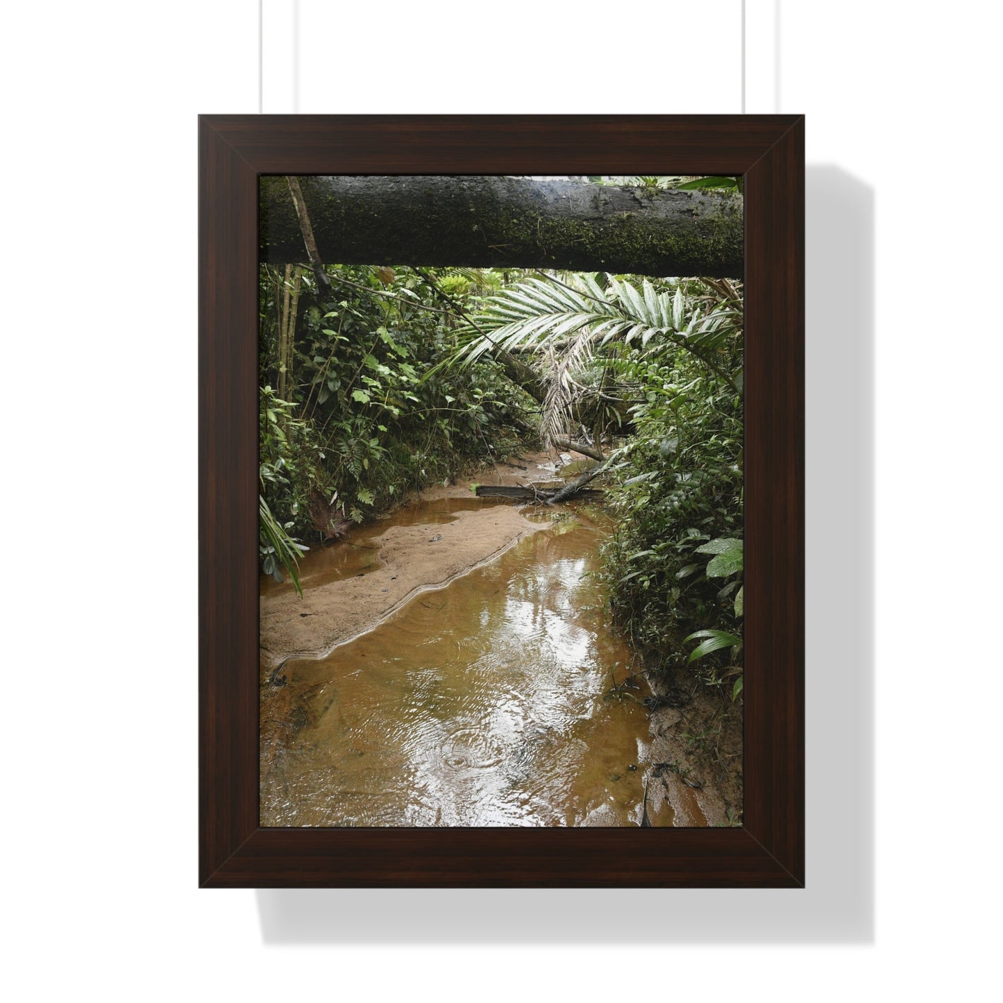 Rainforest Trails & Views - Gallery Canvas Wraps, Framed Vertical Poster - El Yunque National Forest - Puerto Rico -- Rio Sabana Trail & River - Green Forest Home