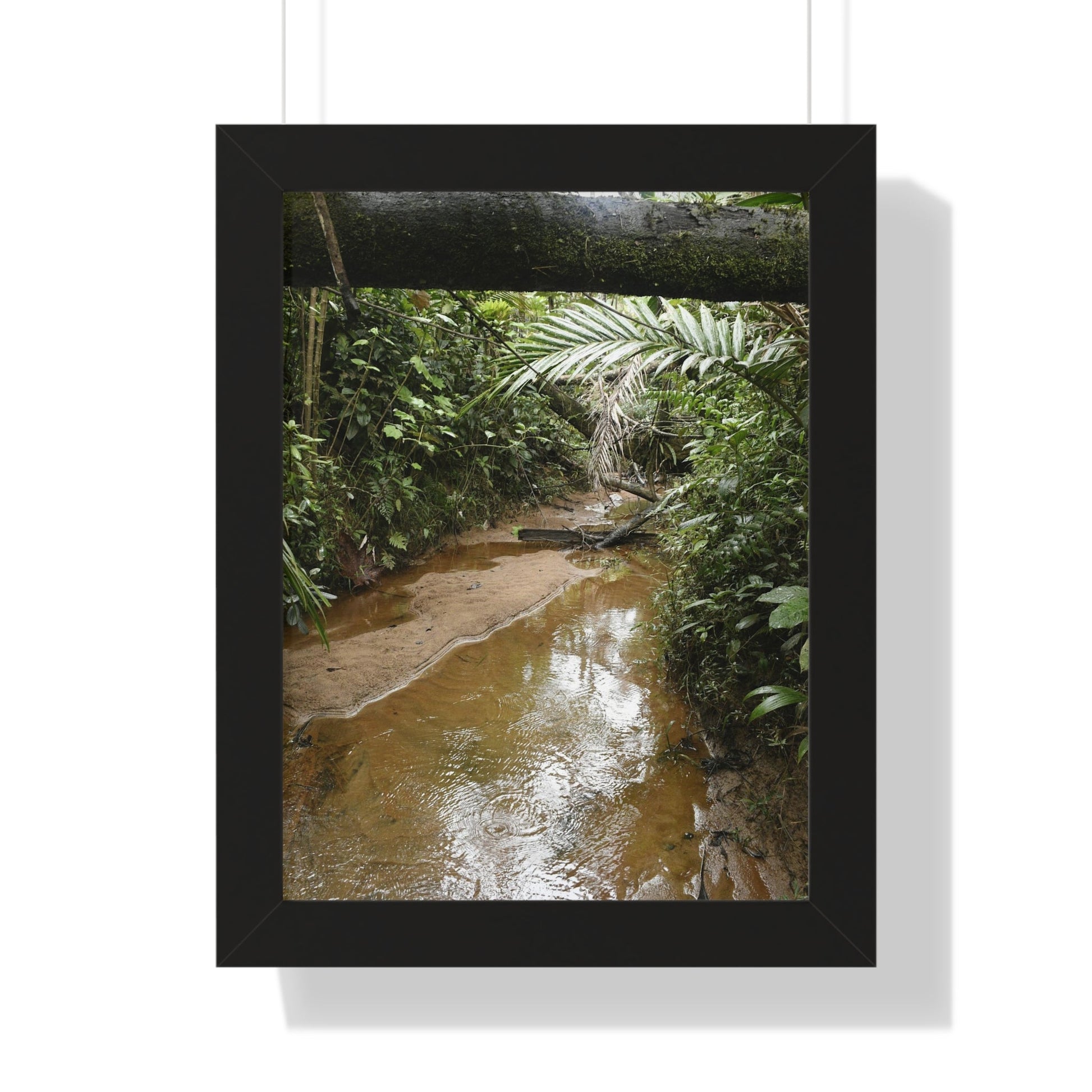 Rainforest Trails & Views - Gallery Canvas Wraps, Framed Vertical Poster - El Yunque National Forest - Puerto Rico -- Rio Sabana Trail & River - Green Forest Home