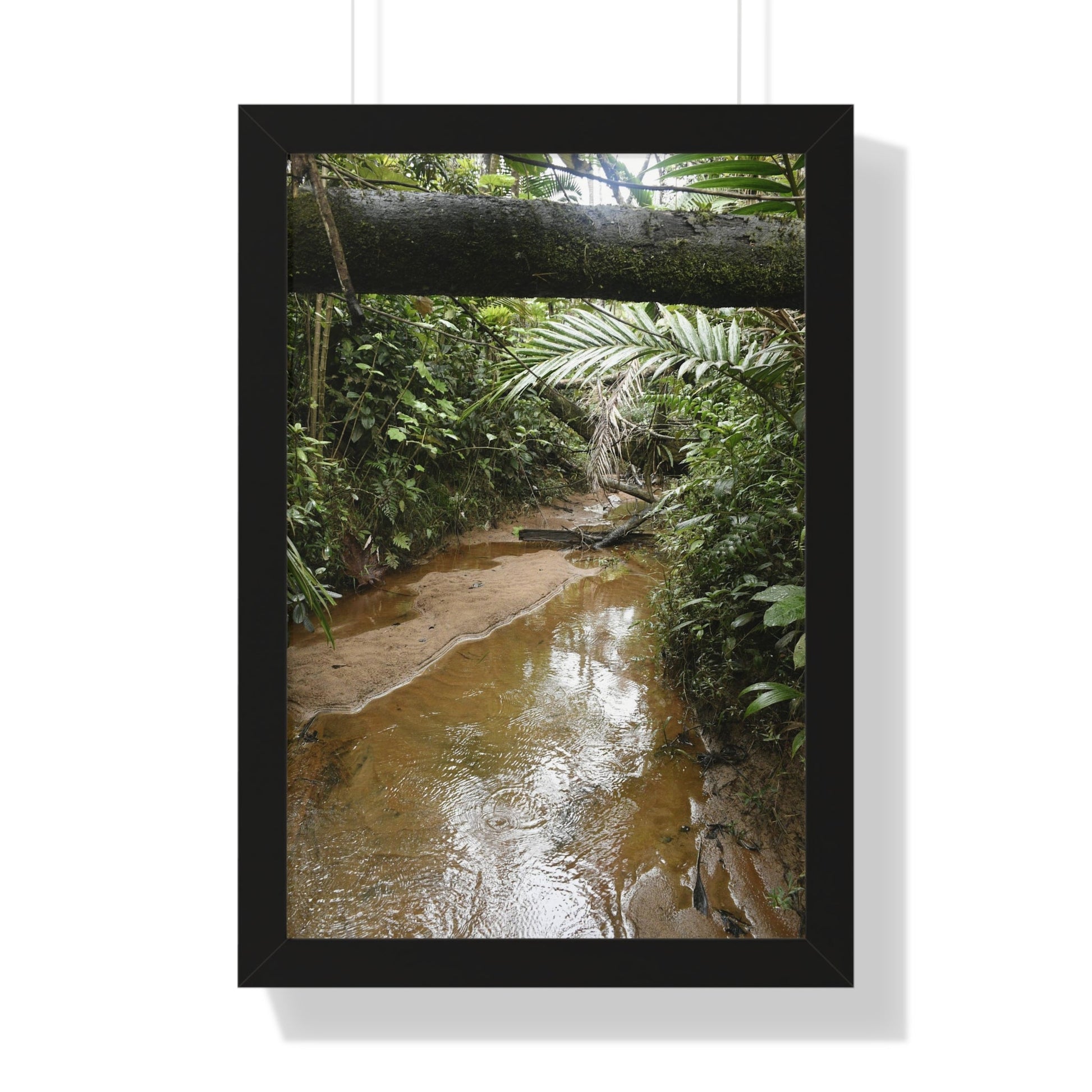 Rainforest Trails & Views - Gallery Canvas Wraps, Framed Vertical Poster - El Yunque National Forest - Puerto Rico -- Rio Sabana Trail & River - Green Forest Home