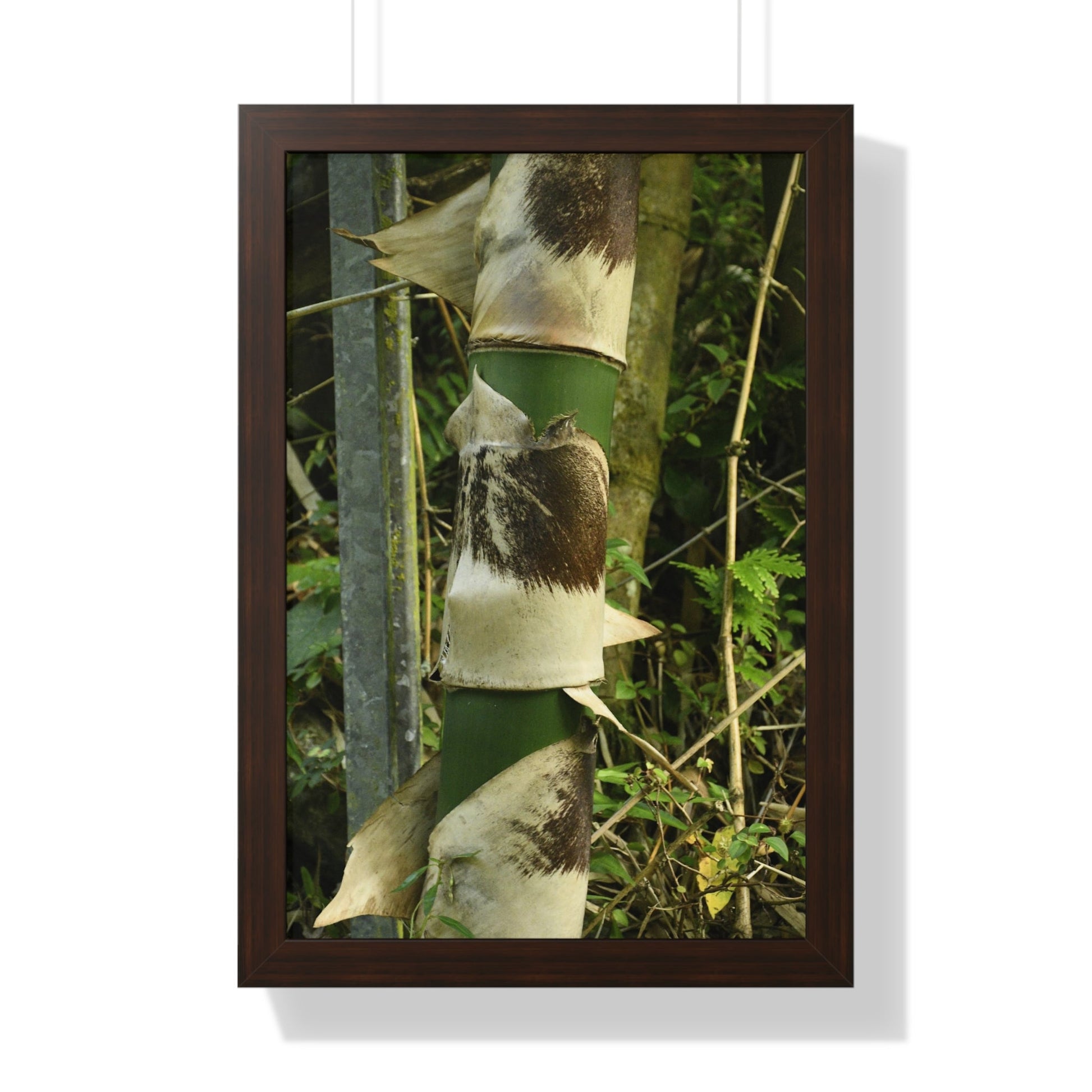 Rainforest Trails & Views - Gallery Canvas Wraps, Framed Vertical Poster - El Yunque National Forest - Puerto Rico - Sabana Park Bamboo Shoots - Green Forest Home