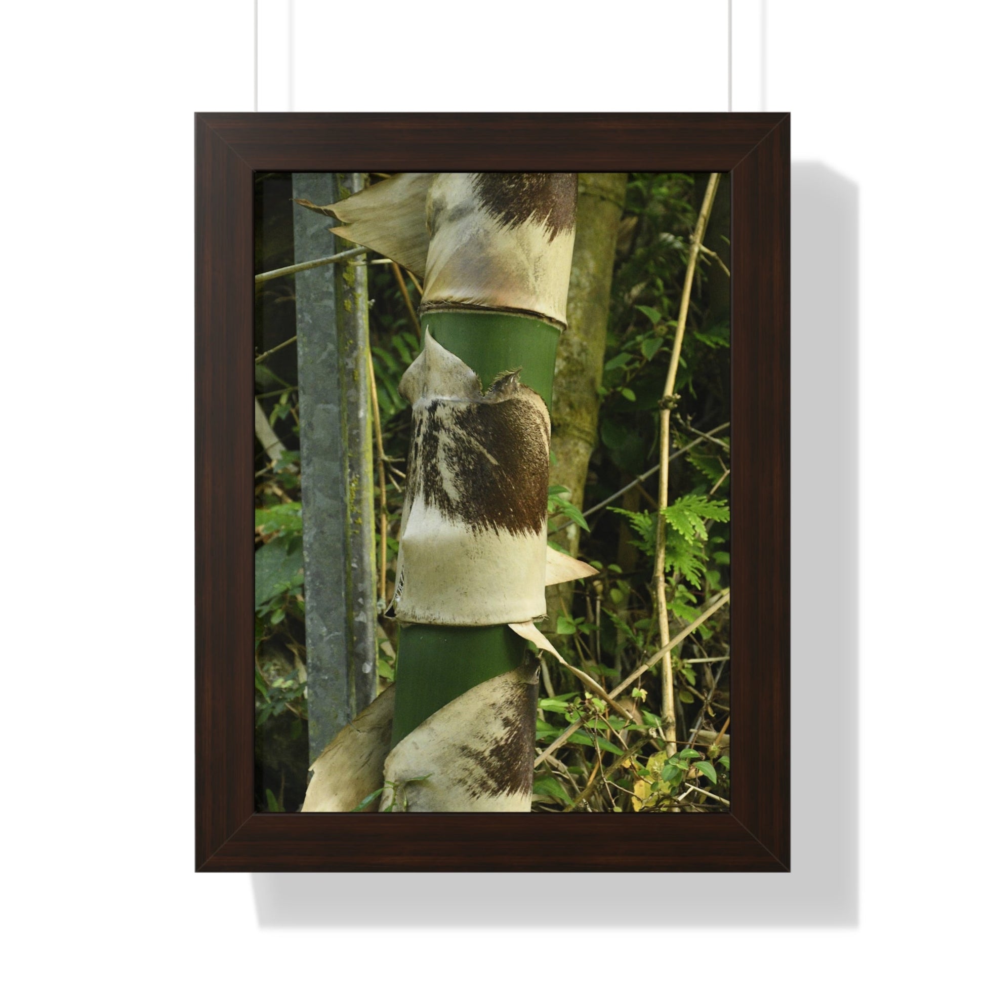 Rainforest Trails & Views - Gallery Canvas Wraps, Framed Vertical Poster - El Yunque National Forest - Puerto Rico - Sabana Park Bamboo Shoots - Green Forest Home