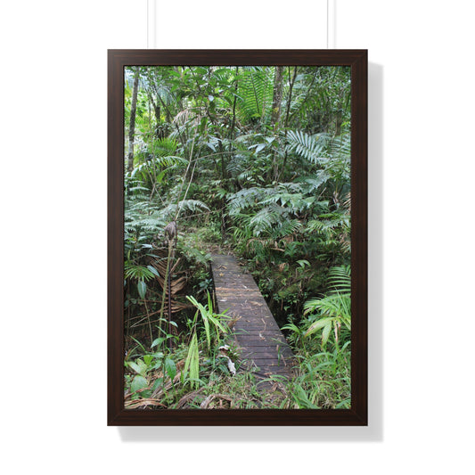 Rainforest Trails & Views - Gallery Canvas Wraps, Framed Vertical Poster - El Yunque National Forest - Puerto Rico - Tradewinds trail crossing bridge - Green Forest Home