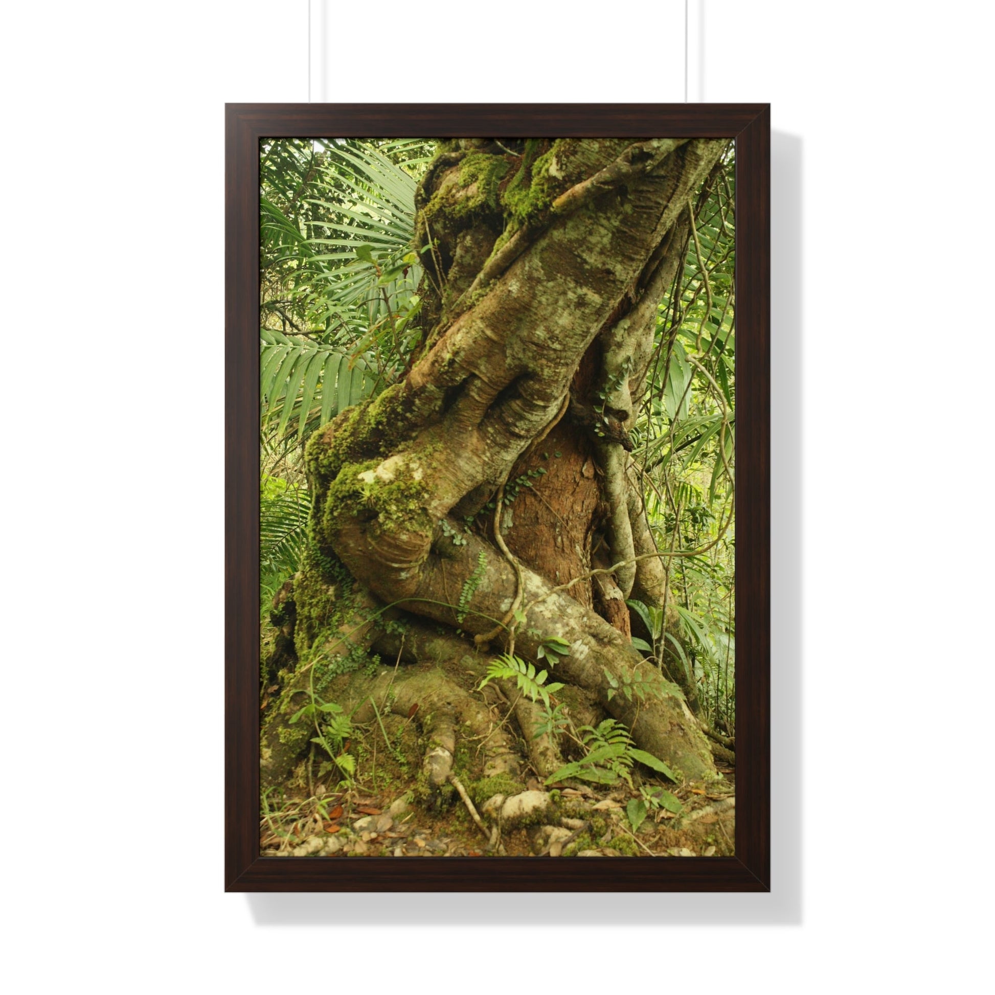 Rainforest Trails & Views - Gallery Canvas Wraps, Framed Vertical Poster - El Yunque National Forest - Puerto Rico - Tradewinds trail decomposing tree - Green Forest Home