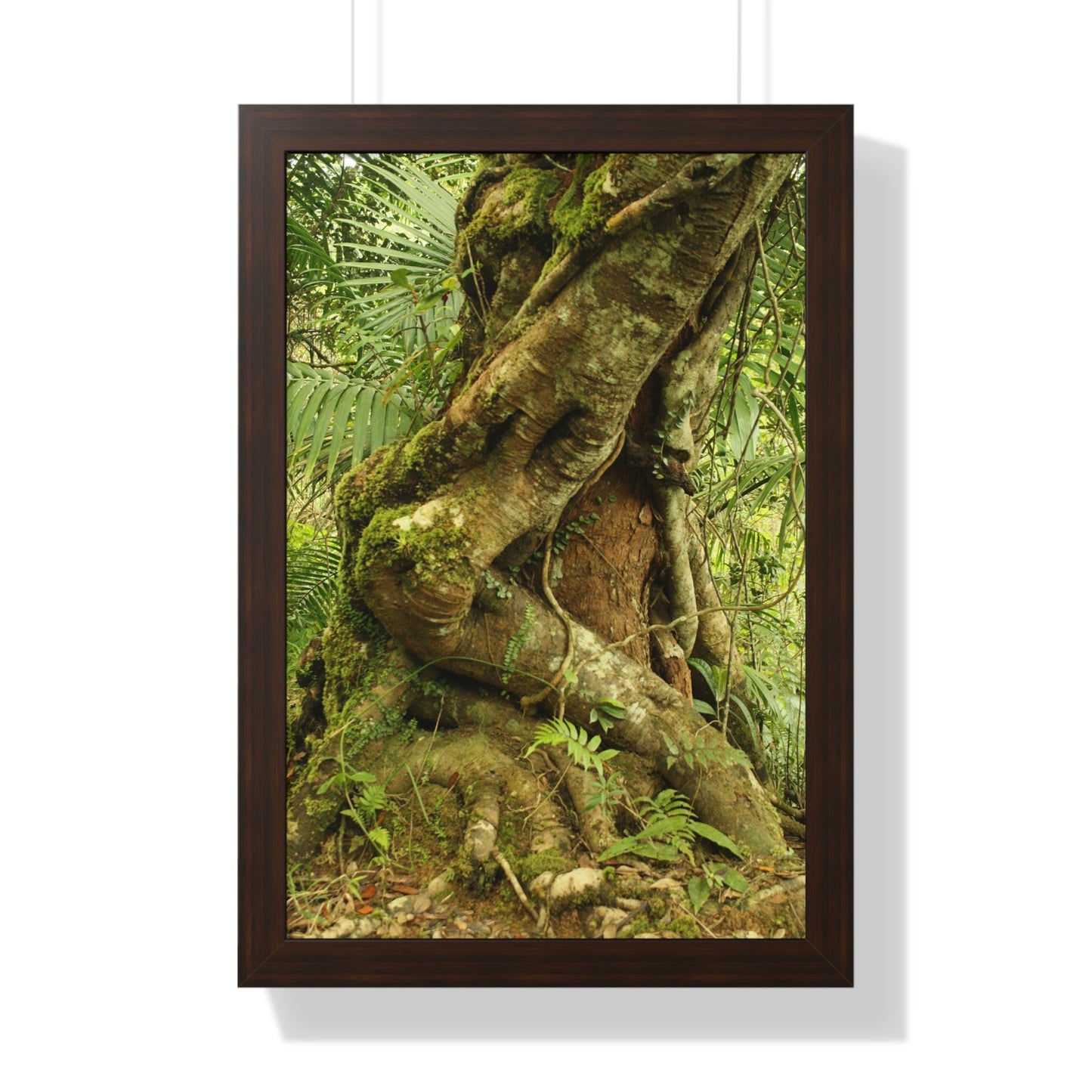 Rainforest Trails & Views - Gallery Canvas Wraps, Framed Vertical Poster - El Yunque National Forest - Puerto Rico - Tradewinds trail decomposing tree - Green Forest Home