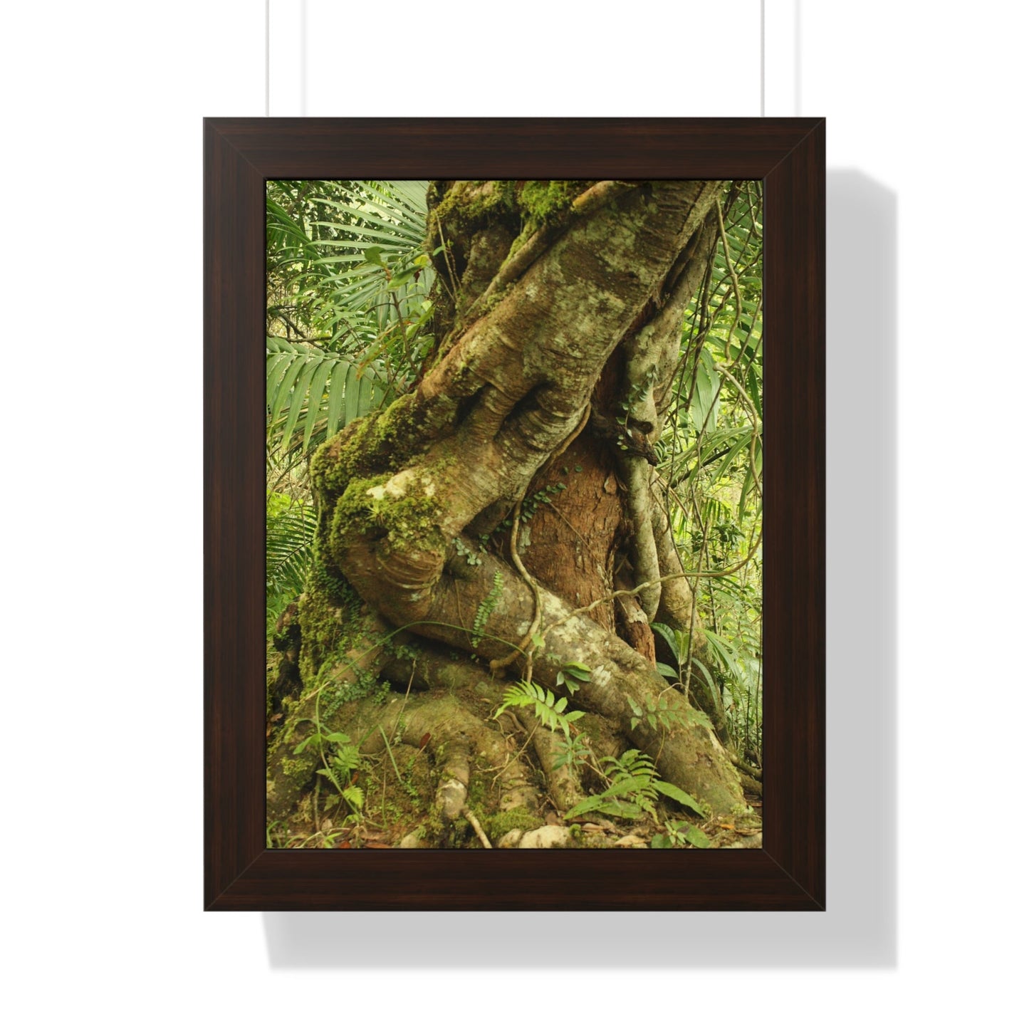 Rainforest Trails & Views - Gallery Canvas Wraps, Framed Vertical Poster - El Yunque National Forest - Puerto Rico - Tradewinds trail decomposing tree - Green Forest Home