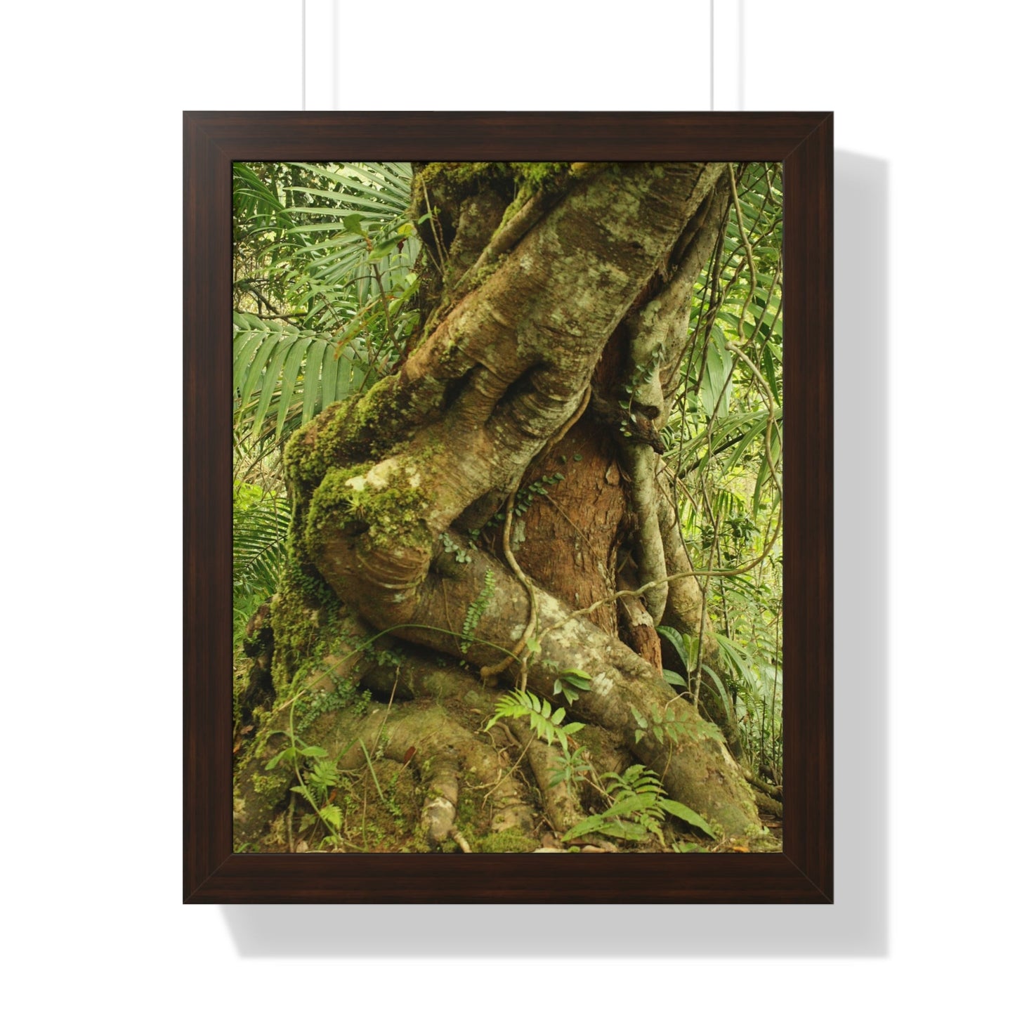 Rainforest Trails & Views - Gallery Canvas Wraps, Framed Vertical Poster - El Yunque National Forest - Puerto Rico - Tradewinds trail decomposing tree - Green Forest Home