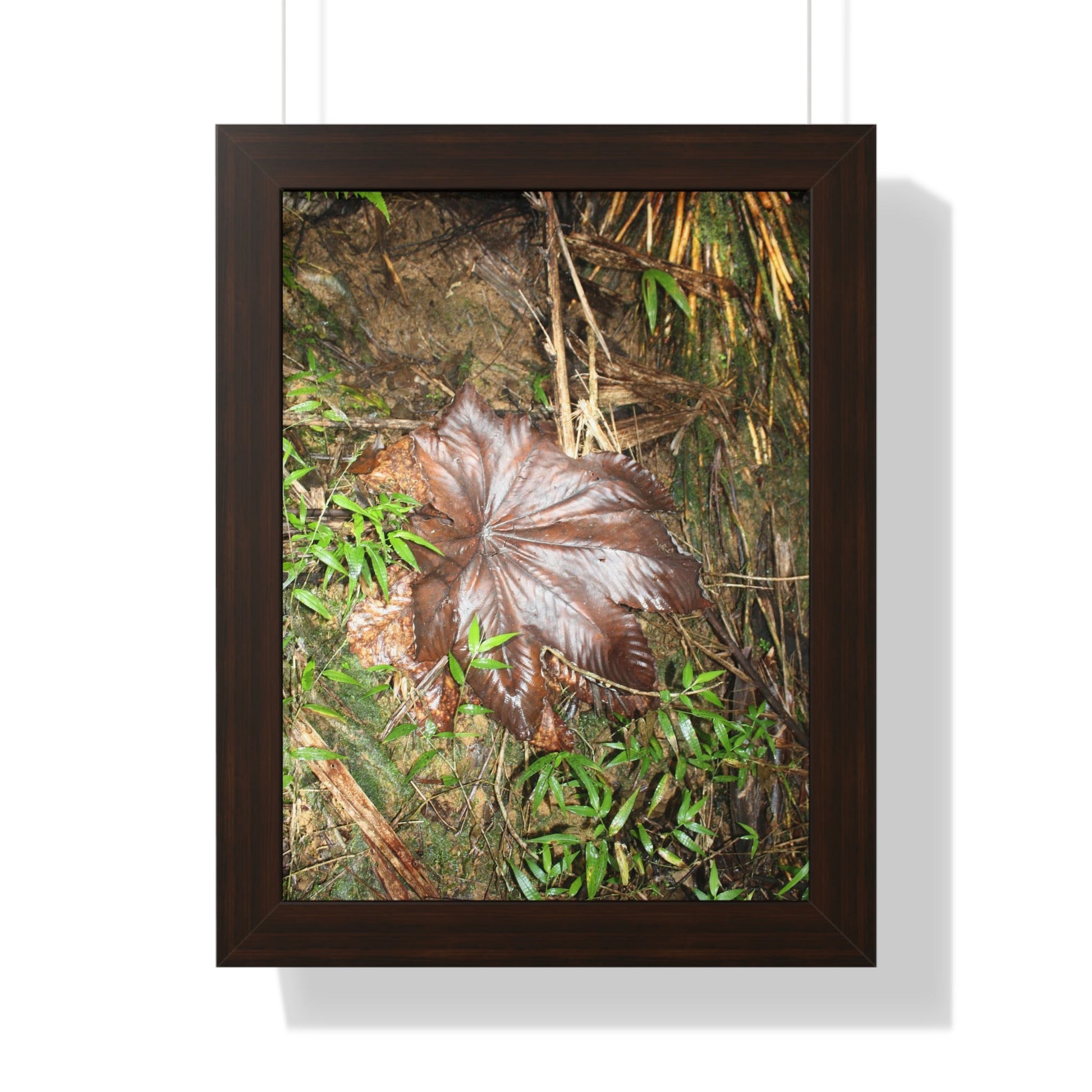 Rainforest Trails & Views - Gallery Canvas Wraps, Framed Vertical Poster - El Yunque National Forest - Puerto Rico - Tradewinds trail - Yagrumo leaf - Green Forest Home