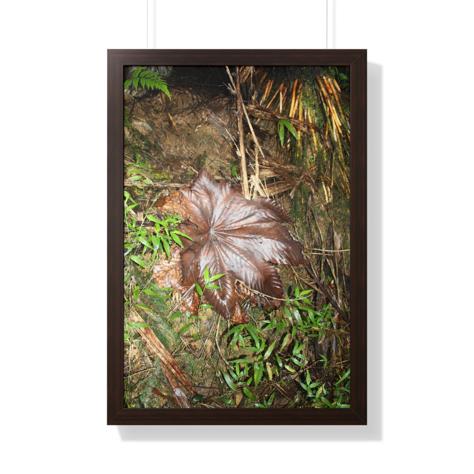 Rainforest Trails & Views - Gallery Canvas Wraps, Framed Vertical Poster - El Yunque National Forest - Puerto Rico - Tradewinds trail - Yagrumo leaf - Green Forest Home