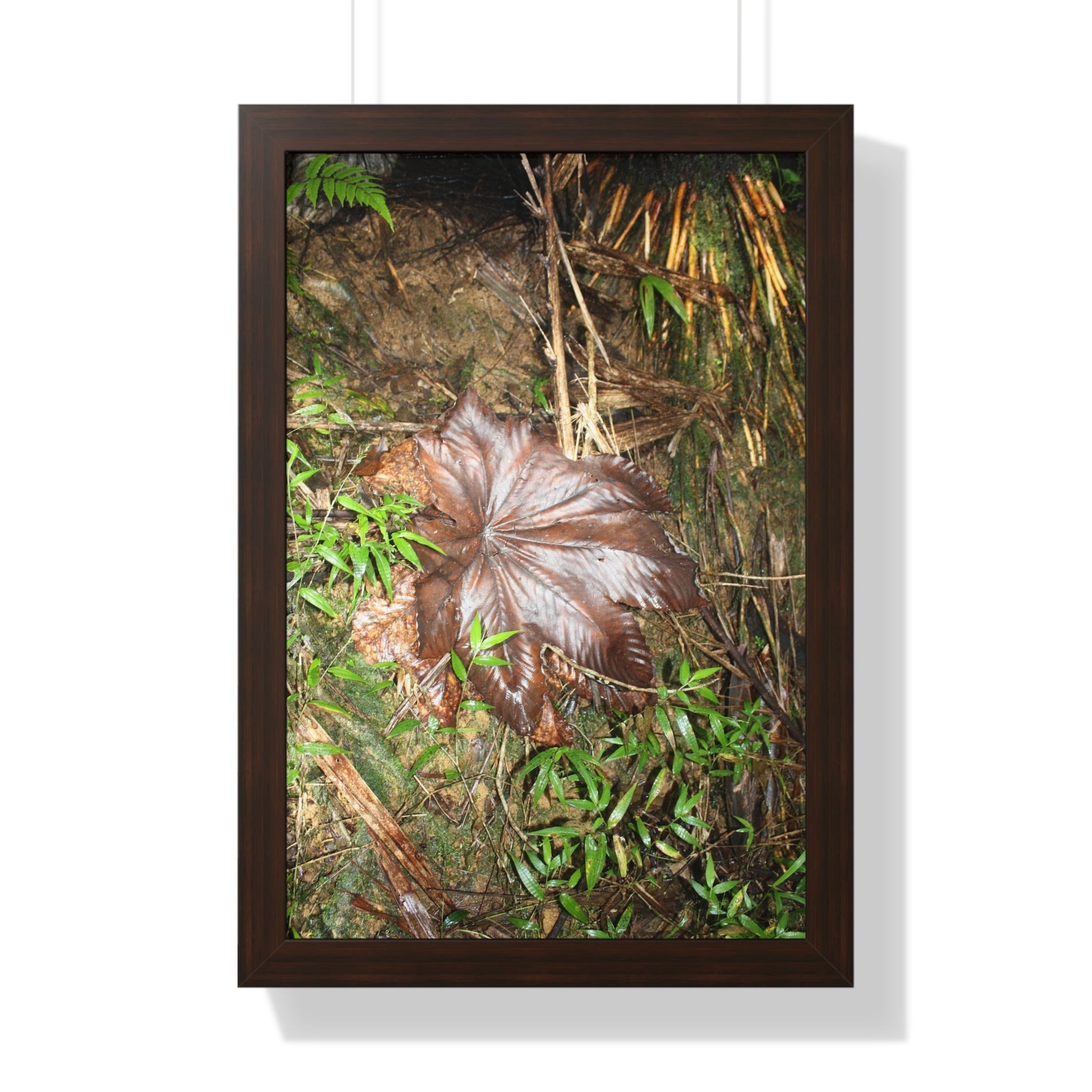 Rainforest Trails & Views - Gallery Canvas Wraps, Framed Vertical Poster - El Yunque National Forest - Puerto Rico - Tradewinds trail - Yagrumo leaf - Green Forest Home