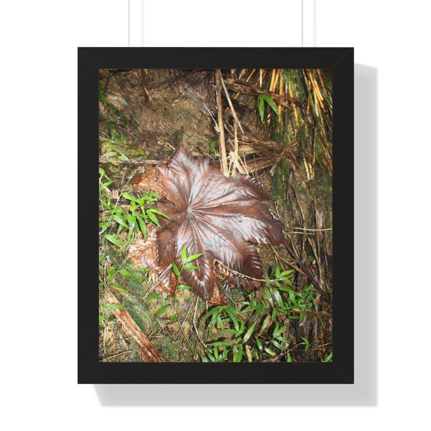 Rainforest Trails & Views - Gallery Canvas Wraps, Framed Vertical Poster - El Yunque National Forest - Puerto Rico - Tradewinds trail - Yagrumo leaf - Green Forest Home