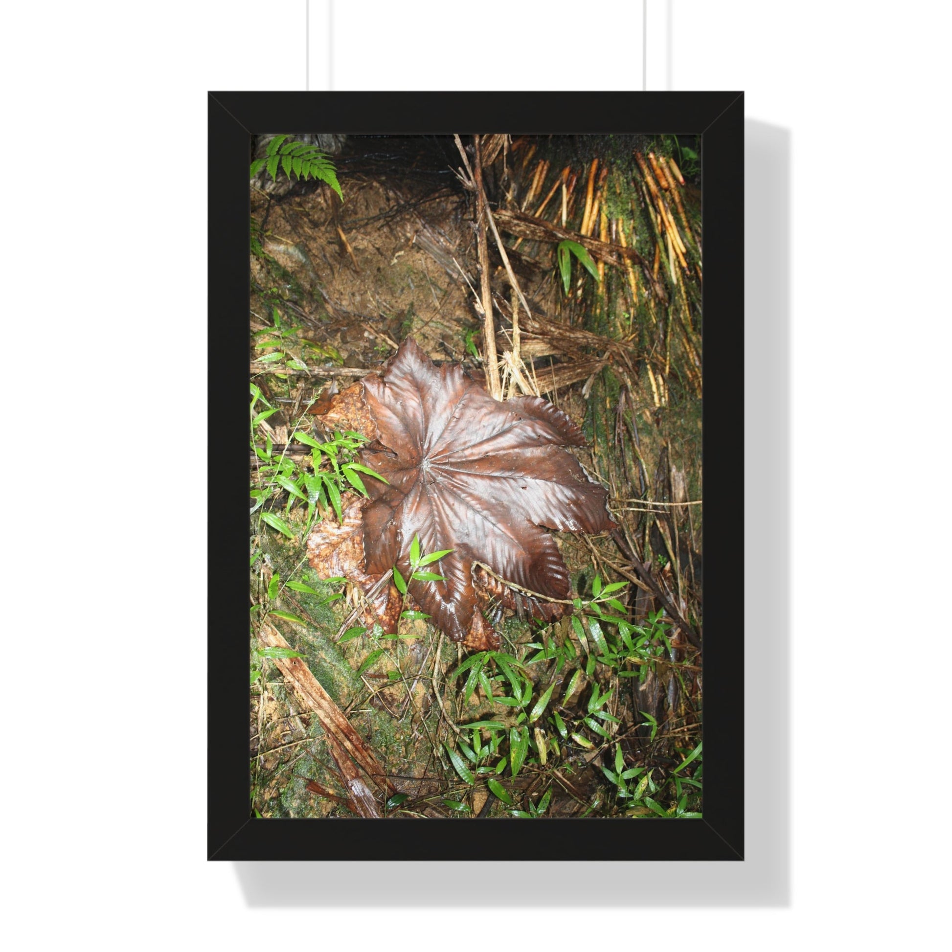 Rainforest Trails & Views - Gallery Canvas Wraps, Framed Vertical Poster - El Yunque National Forest - Puerto Rico - Tradewinds trail - Yagrumo leaf - Green Forest Home