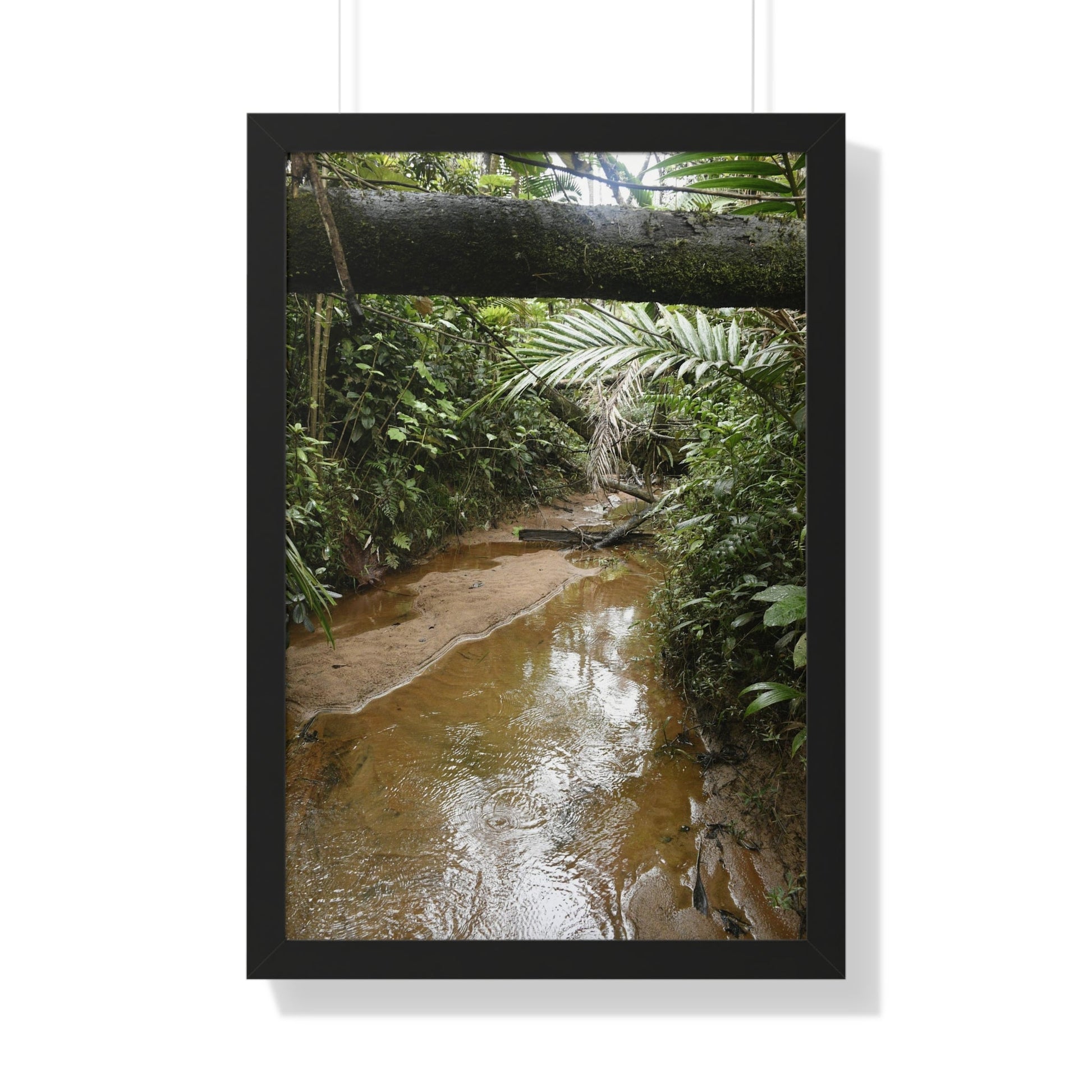 Rainforest Trails & Views - Gallery Canvas Wraps, Framed Vertical Poster - El Yunque National Forest - Puerto Rico -- Upper Rio Sabana River - Green Forest Home