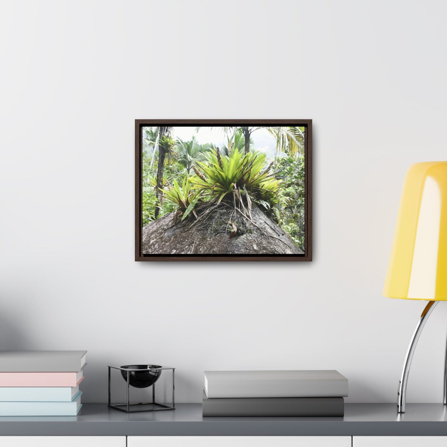 Rainforest Trails & Views - Gallery Canvas Wraps, Horizontal Frame - Bromeliads on boulder in Rio Sabana Park in El Yunque PR - Green Forest Home