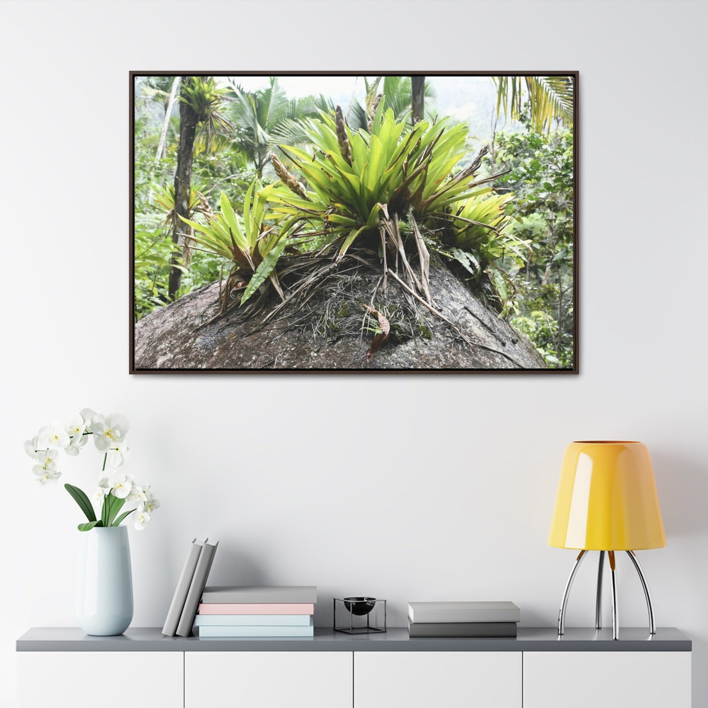 Rainforest Trails & Views - Gallery Canvas Wraps, Horizontal Frame - Bromeliads on boulder in Rio Sabana Park in El Yunque PR - Green Forest Home