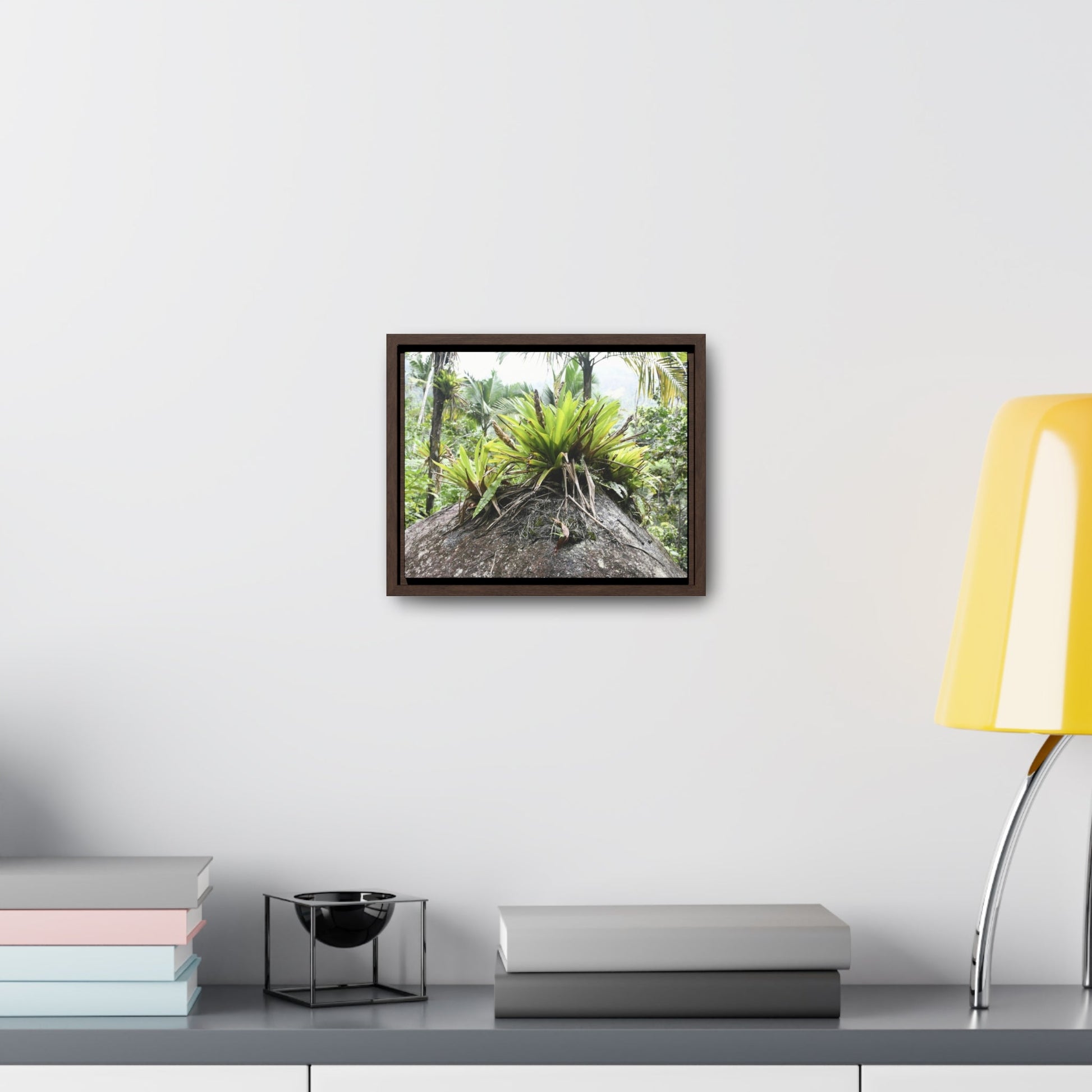 Rainforest Trails & Views - Gallery Canvas Wraps, Horizontal Frame - Bromeliads on boulder in Rio Sabana Park in El Yunque PR - Green Forest Home