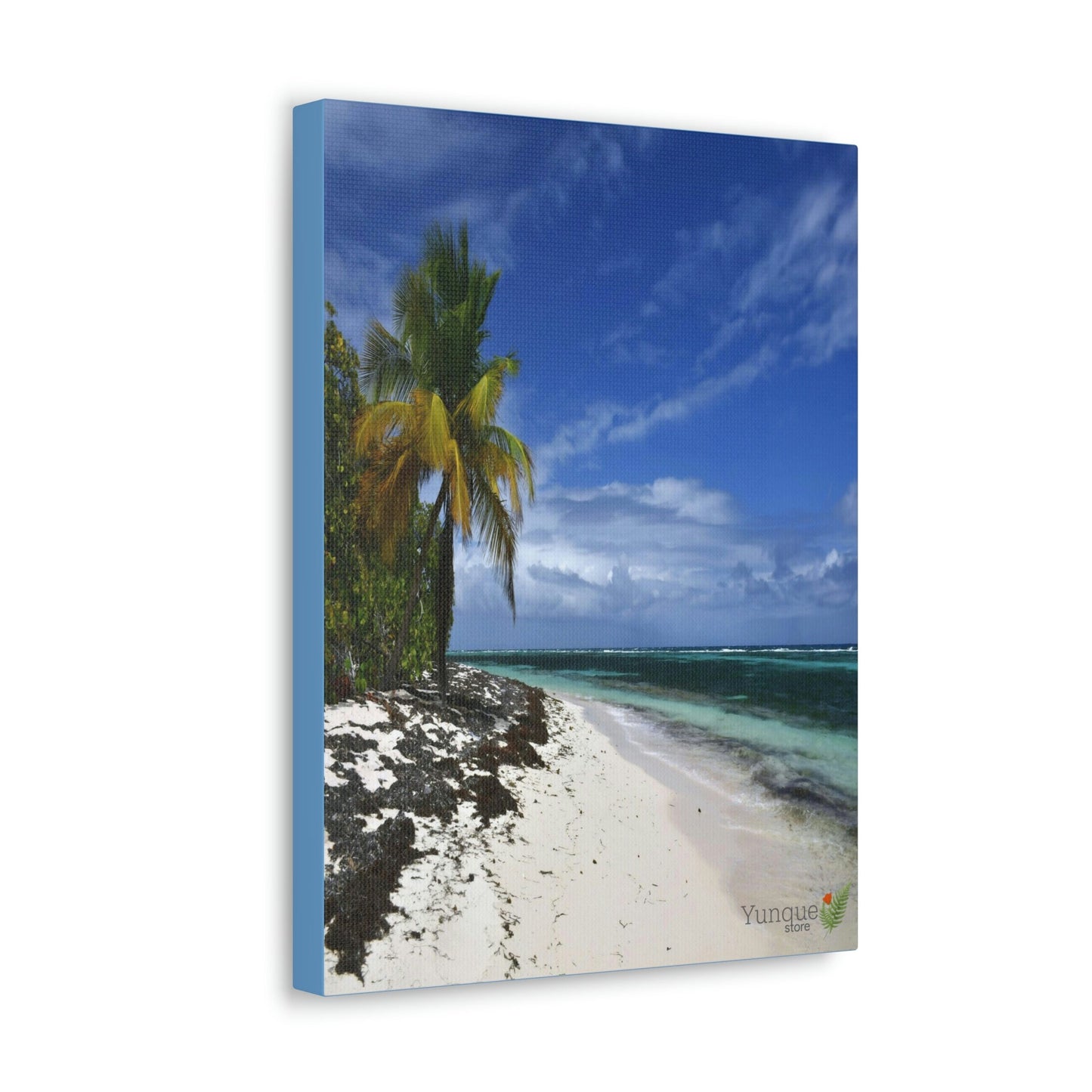 SALE - US print - Canvas Gallery Wraps - Awesome quality canvas of Pajaros Beach in Mona island - Green Forest Home