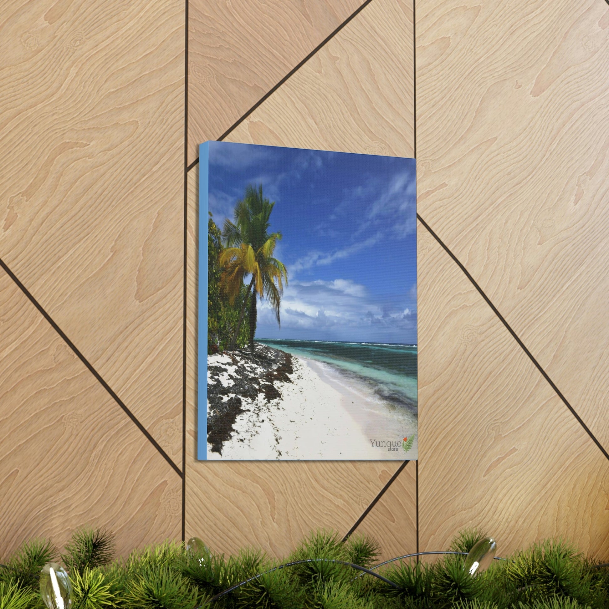 SALE - US print - Canvas Gallery Wraps - Awesome quality canvas of Pajaros Beach in Mona island - Green Forest Home