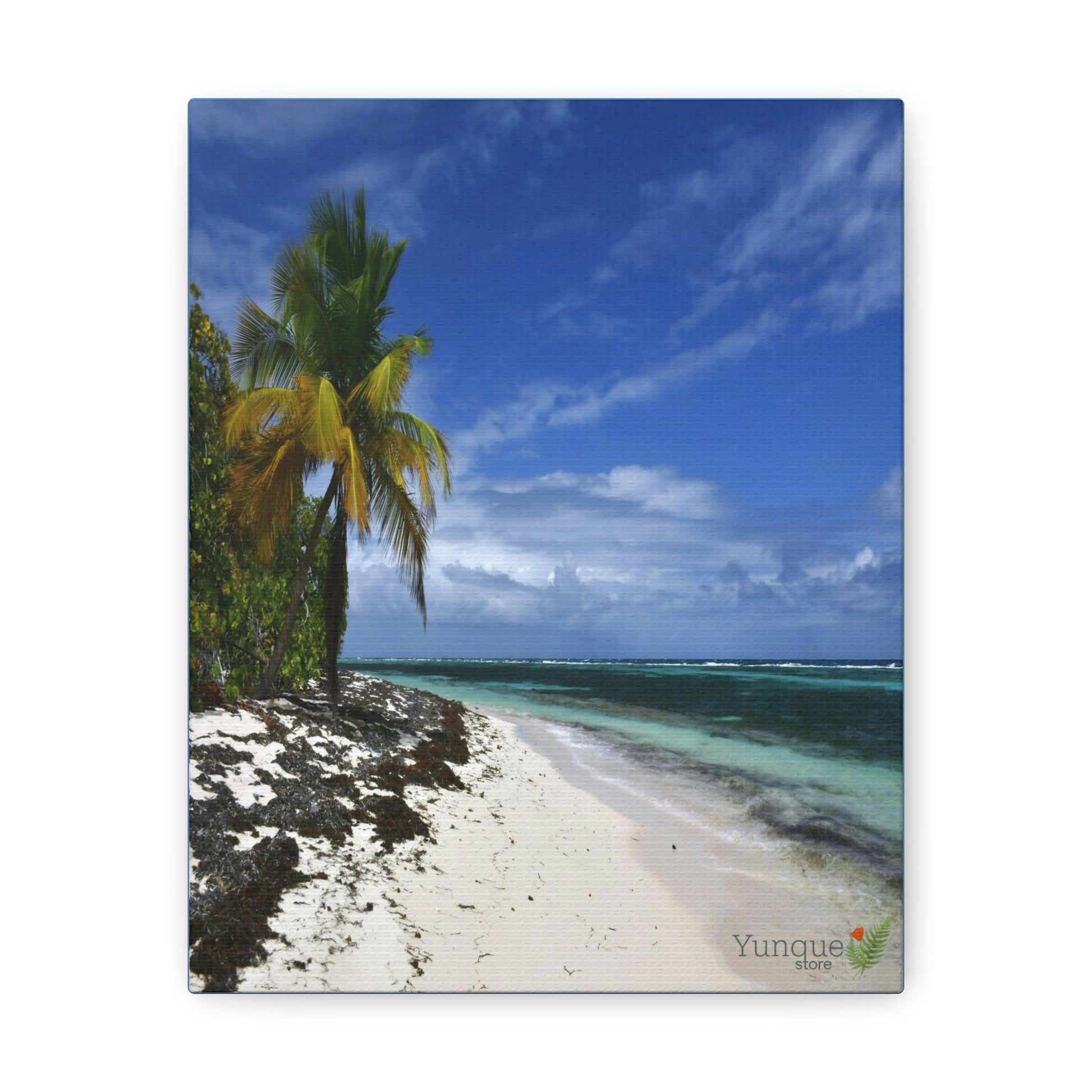 SALE - US print - Canvas Gallery Wraps - Awesome quality canvas of Pajaros Beach in Mona island - Green Forest Home