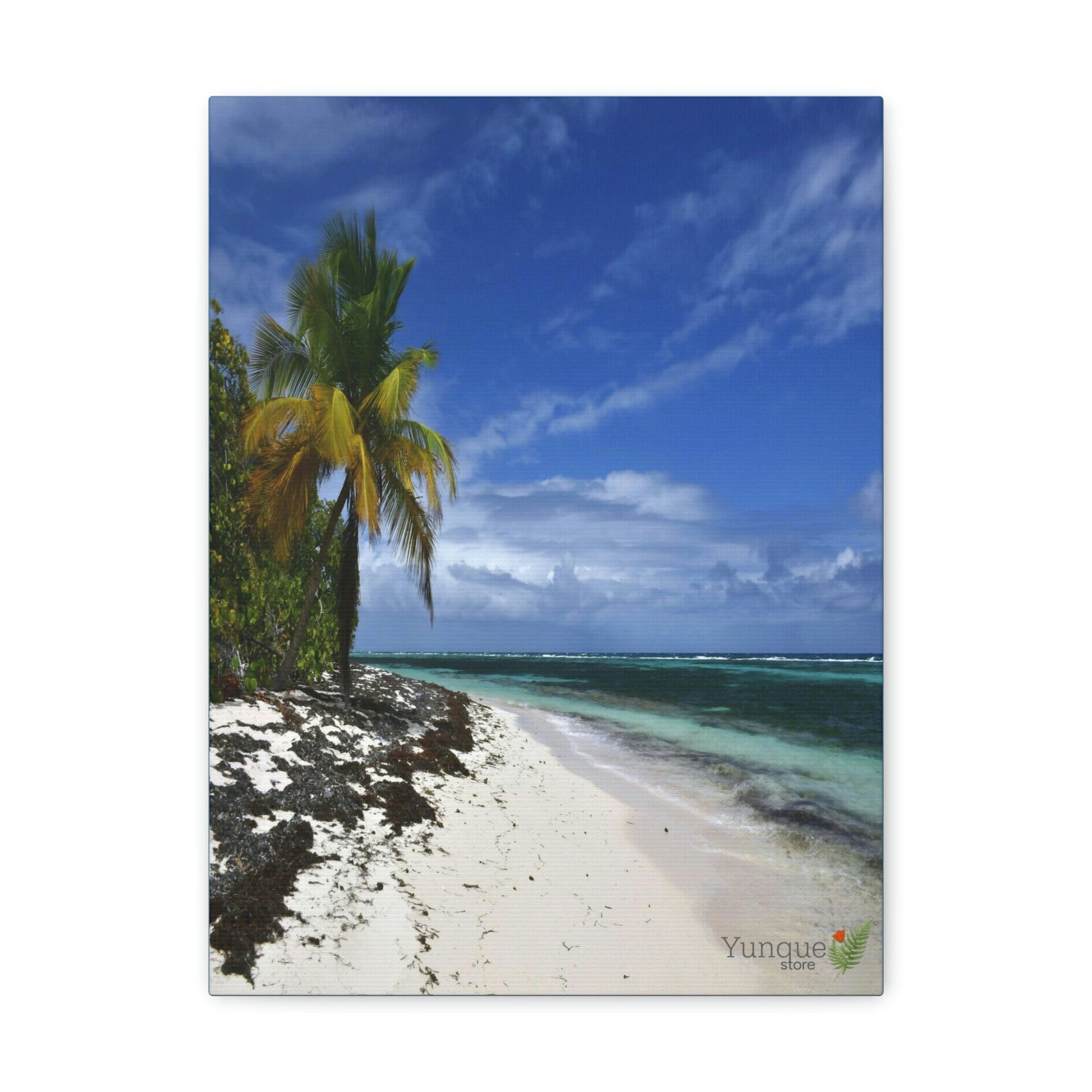 SALE - US print - Canvas Gallery Wraps - Awesome quality canvas of Pajaros Beach in Mona island - Green Forest Home