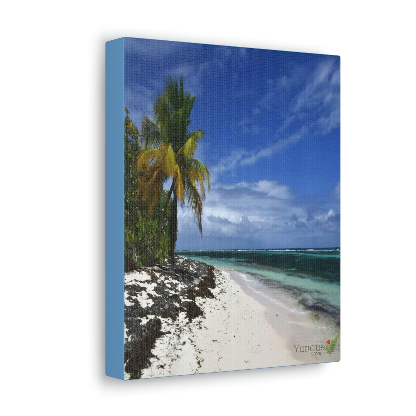 SALE - US print - Canvas Gallery Wraps - Awesome quality canvas of Pajaros Beach in Mona island - Green Forest Home