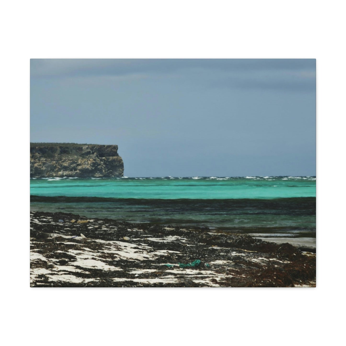 Shining see of pajaros beach - Puerto Rico - the Galapagos of the Caribbean - Green Forest Home