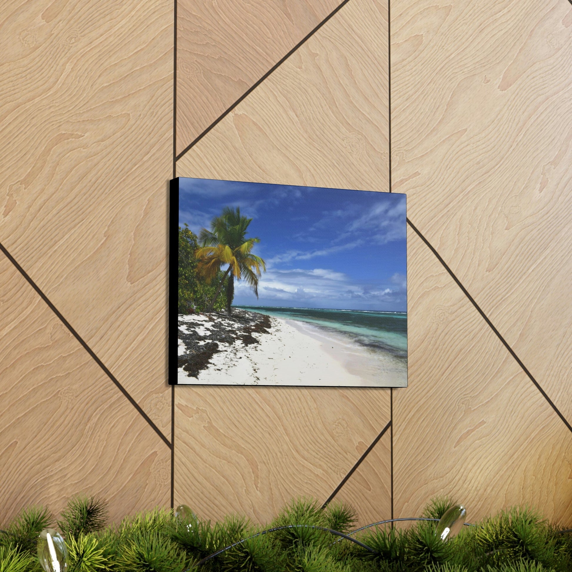 SMALL Canvas Gallery Wraps - Made in USA - Awesome and remote - Mona Island Pajaros beach PR - Green Forest Home