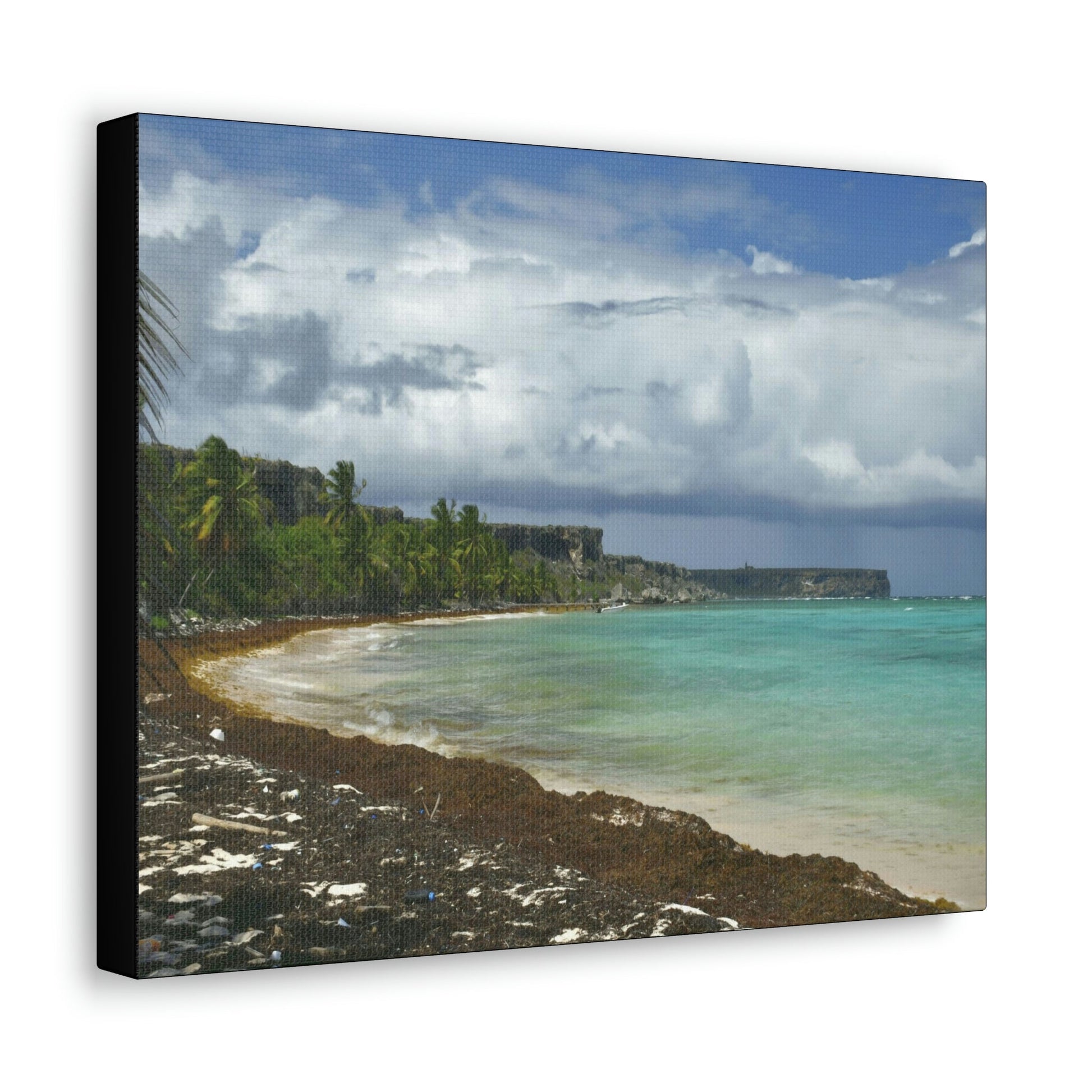 SMALL Canvas Gallery Wraps - Made in USA - Awesome and remote - Mona Island Pajaros beach PR - Green Forest Home